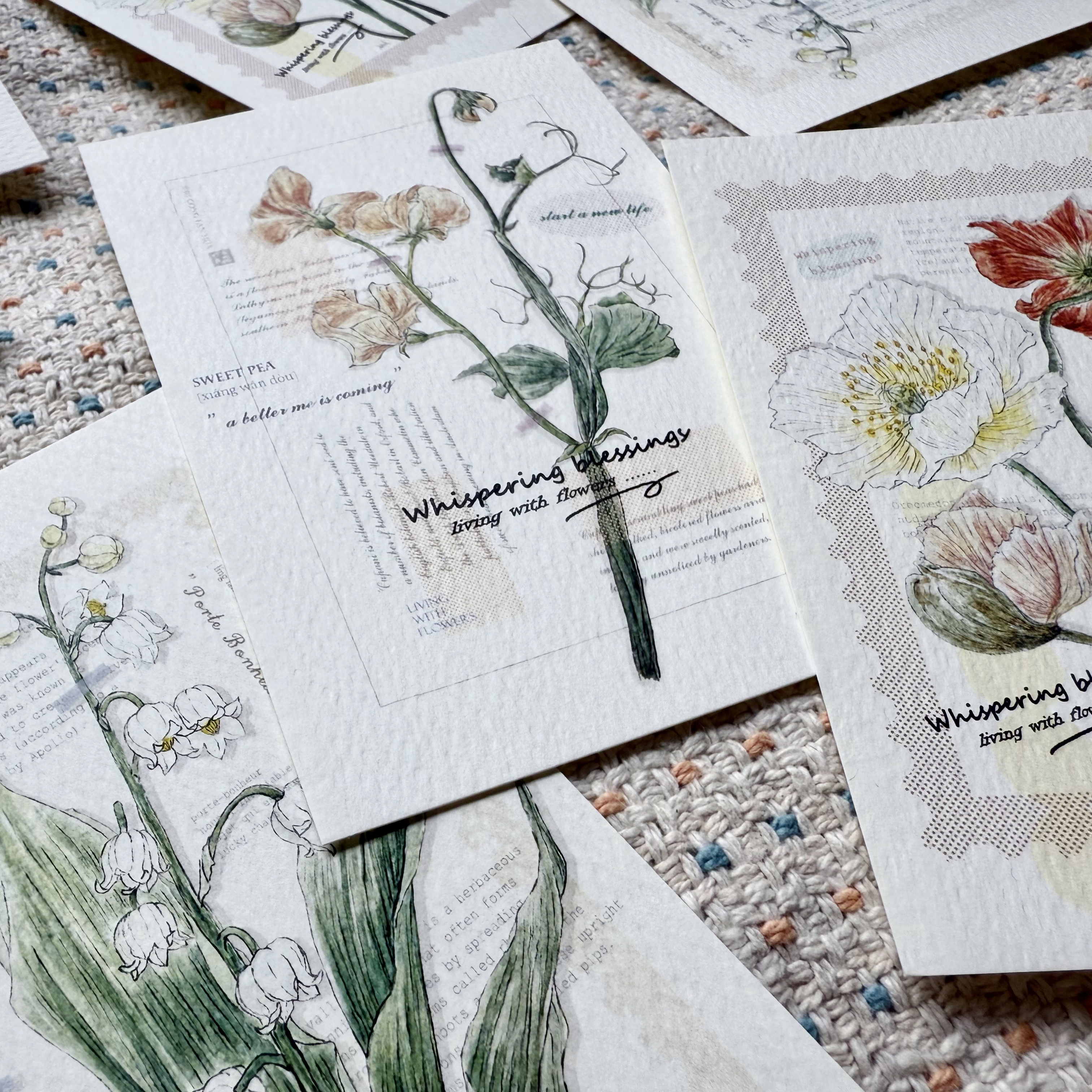竹工凡花．夏季的呢喃祝福 插畫明信片 香豌豆/鈴蘭/冰島罌粟