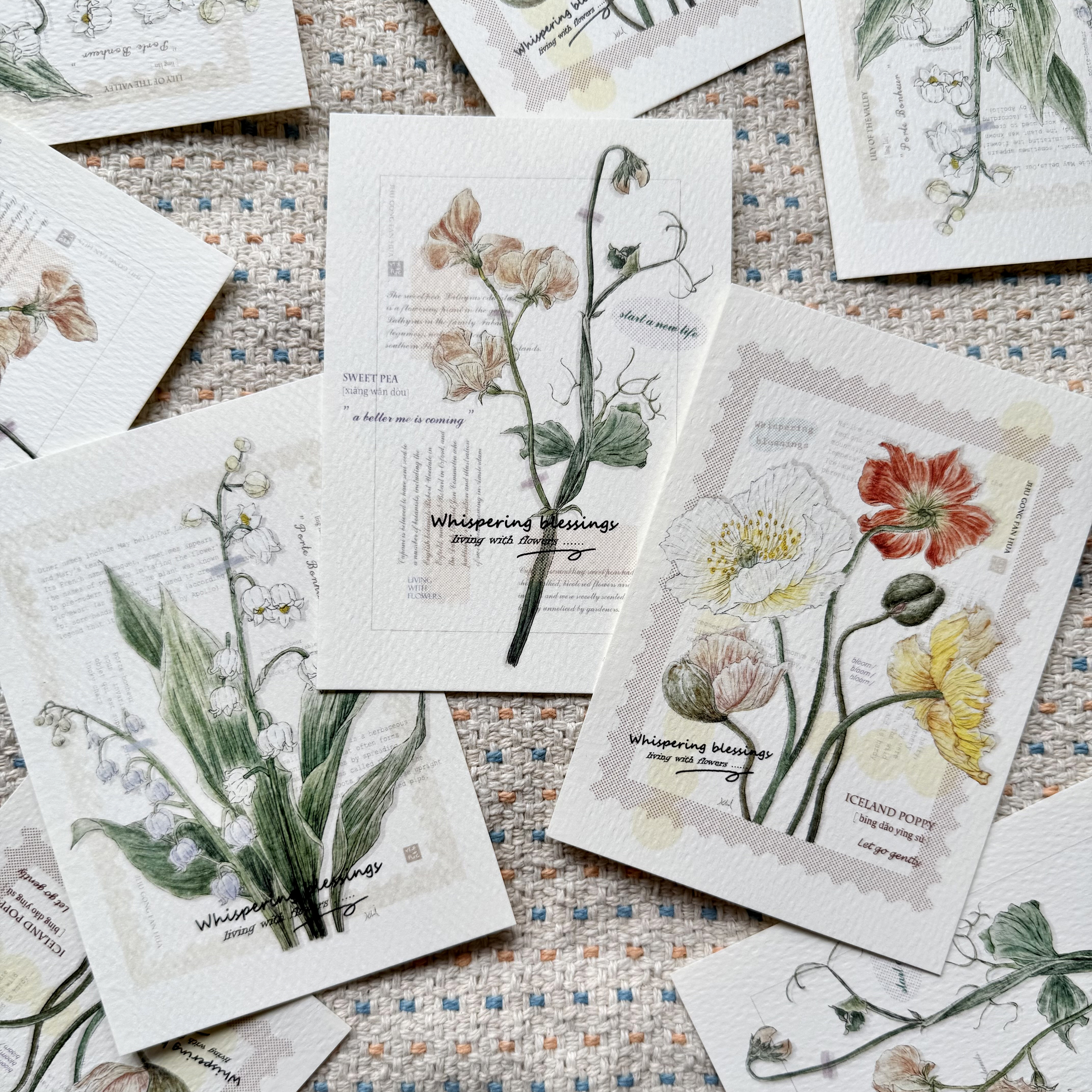 竹工凡花．夏季的呢喃祝福 插畫明信片 香豌豆/鈴蘭/冰島罌粟