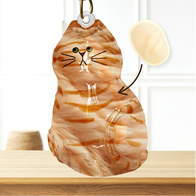 透明貓毛收集器 - 橘毛貓 (茶卜ラ)