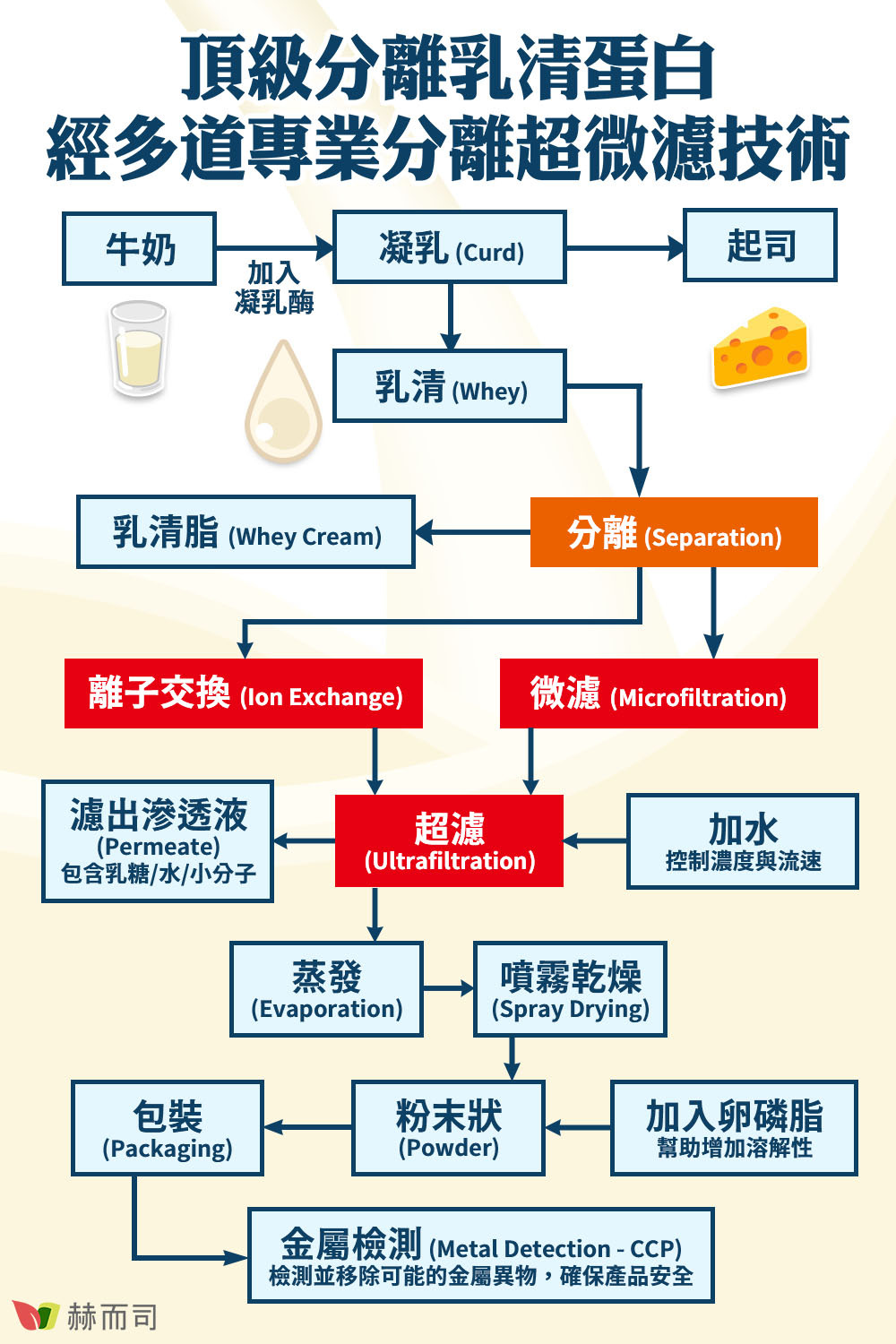 分離乳清蛋白推薦 赫而司紐西蘭即溶原味分離乳清蛋白(WPI)+維生素D3為頂級分離乳清蛋白經多道專業分離超微濾技術！