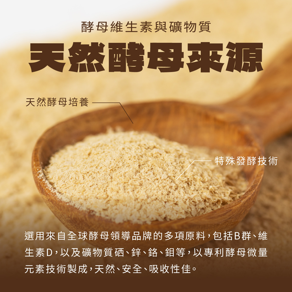 選用天然專利營養酵母來源維生素與礦物質，包括B群、維生素D，以及礦物質硒、鋅、鉻、鉬等，以專利酵母微量元素技術製成，天然、安全、吸收性佳。