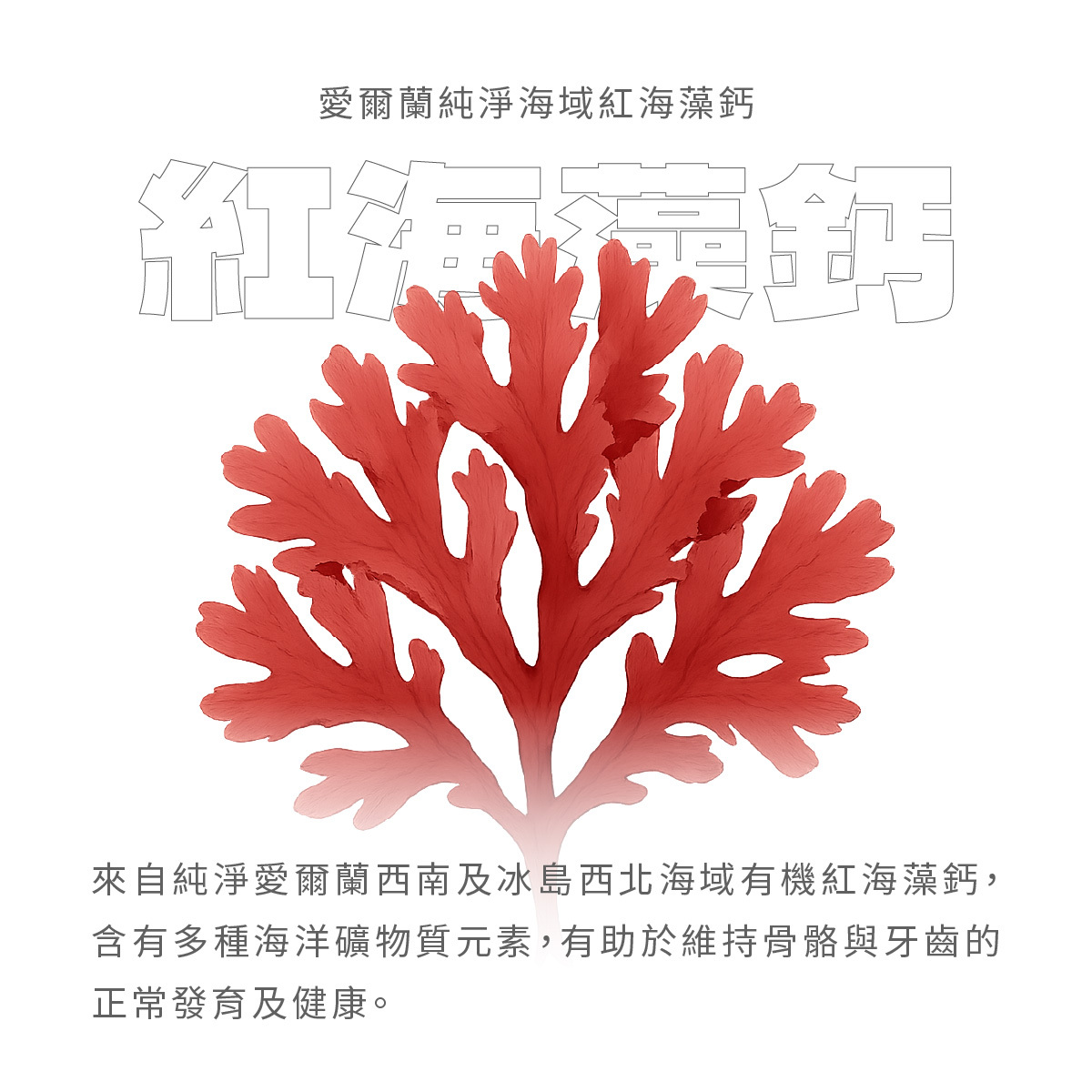 來自純淨愛爾蘭西南及冰島西北海域有機紅海藻鈣，含有多種海洋礦物質元素，有助於維持骨骼與牙齒的正常發育及健康。