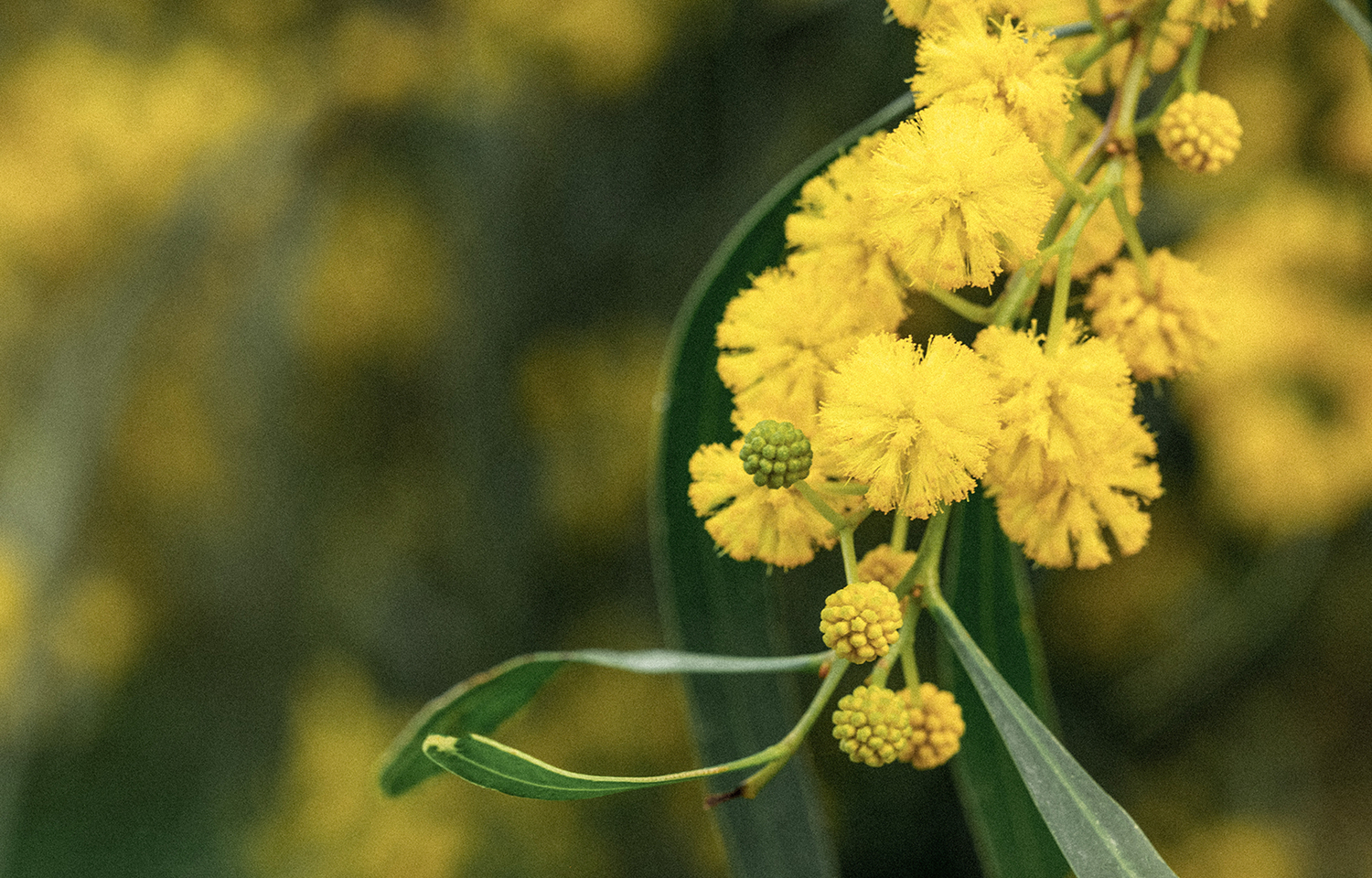 重拾柔潤細緻-6