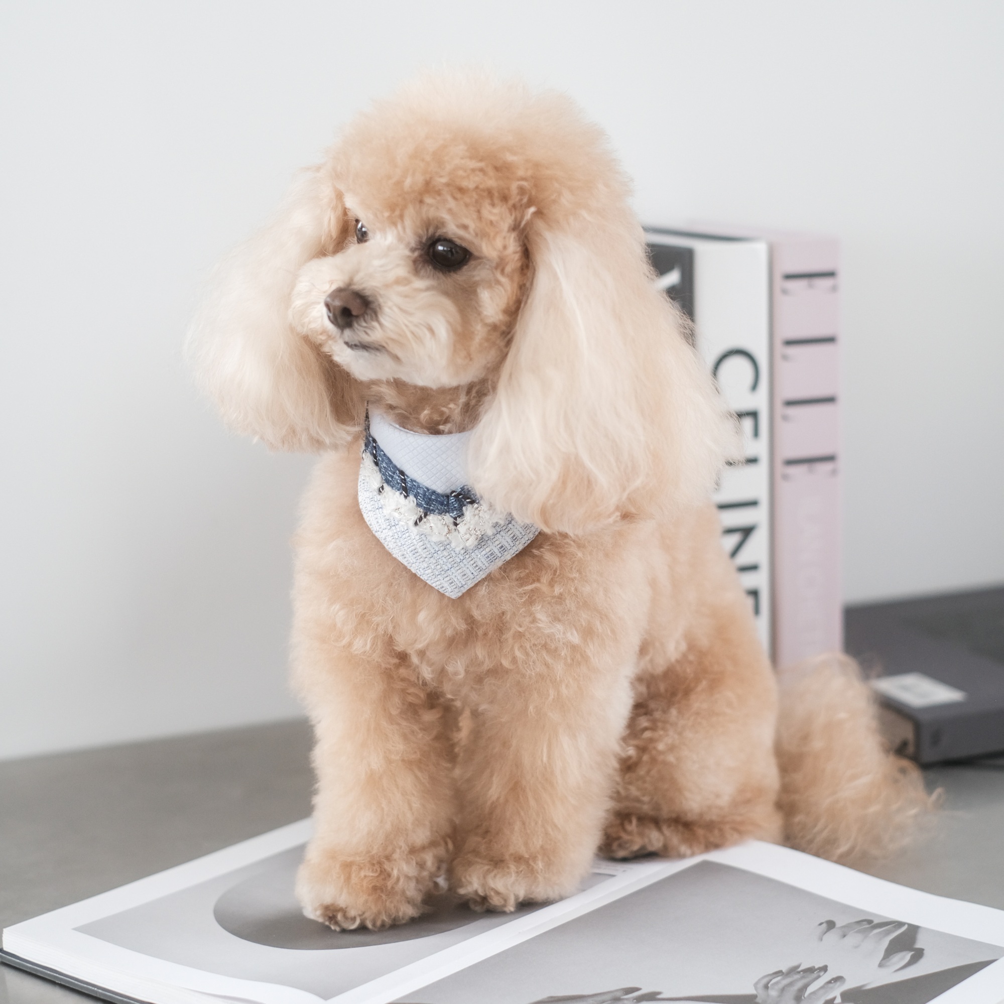 PuriPuri® 寵物領巾 - 蘇打雪花冰