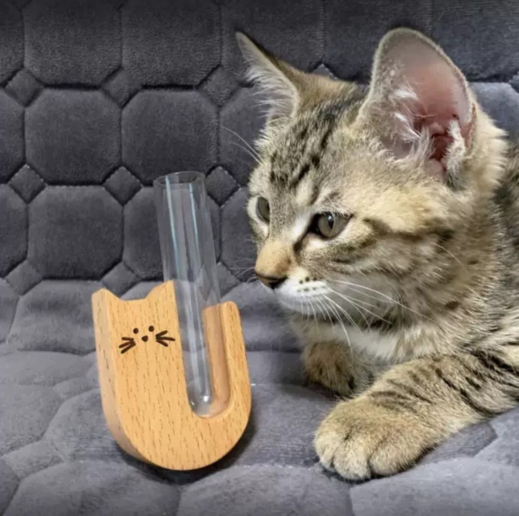 實木貓鬚收集器(冰箱貼)