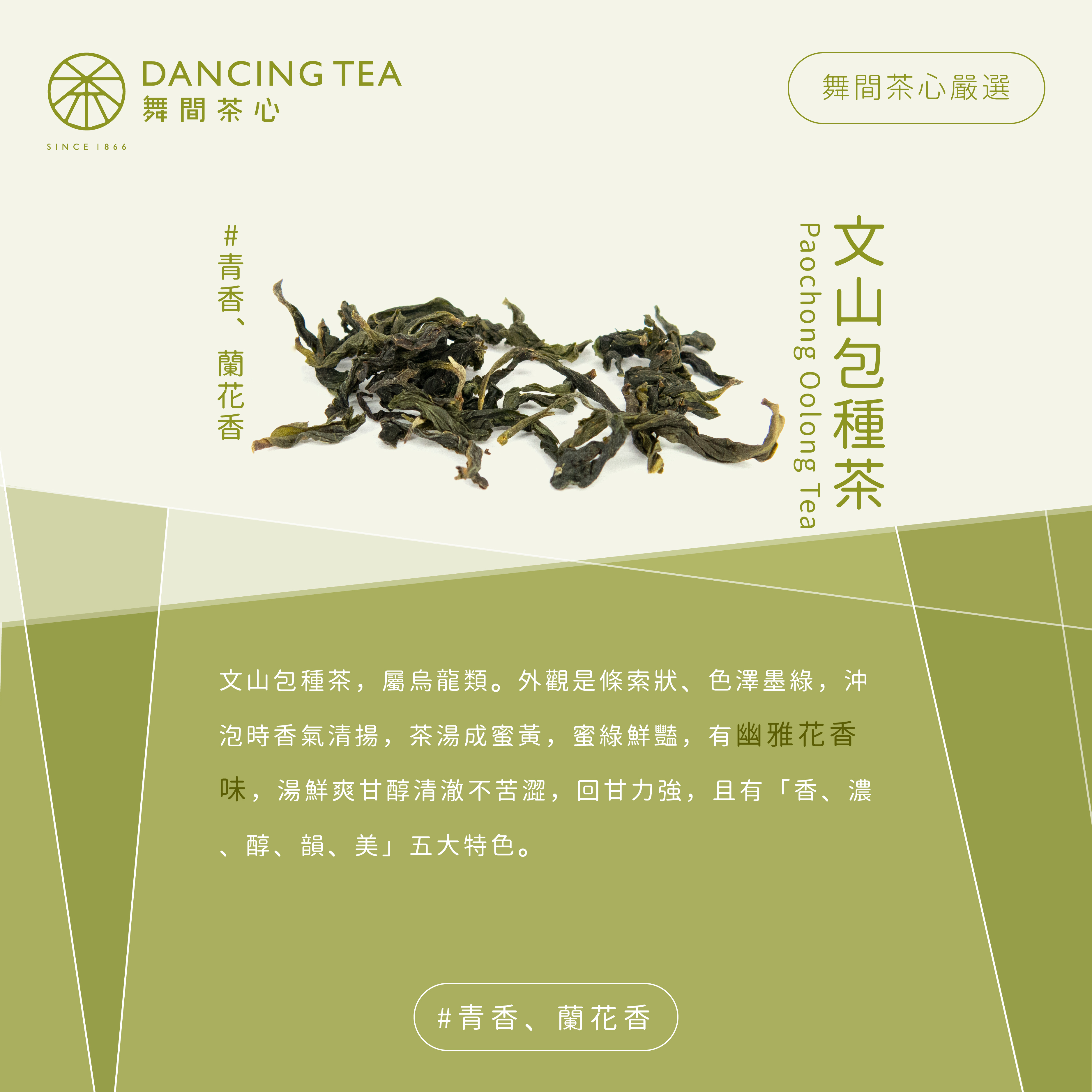 文山包種茶 原片茶葉/中罐裝50g