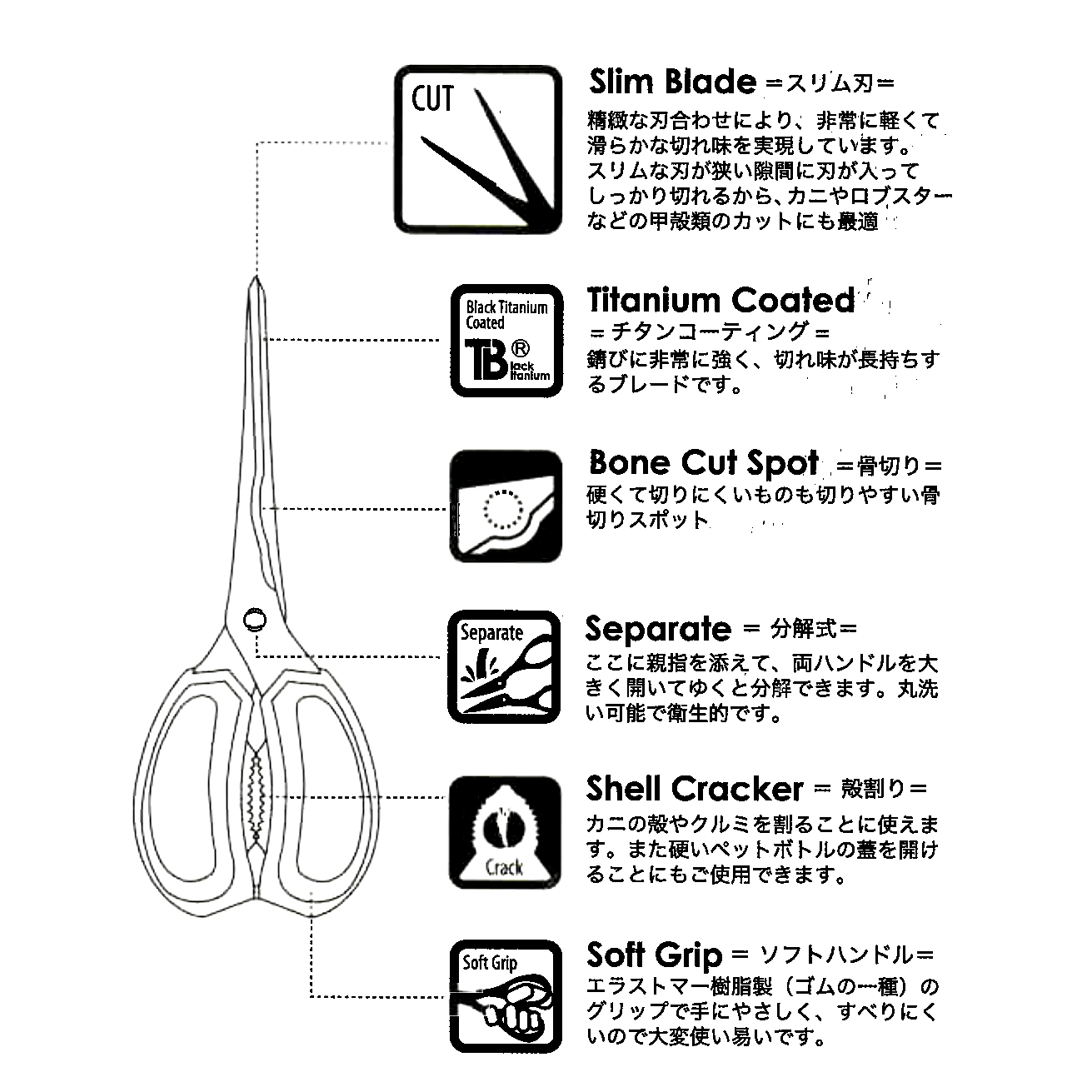 SITRA 不銹鋼＋黑鈦金屬纖細專用海鮮剪(可拆式)