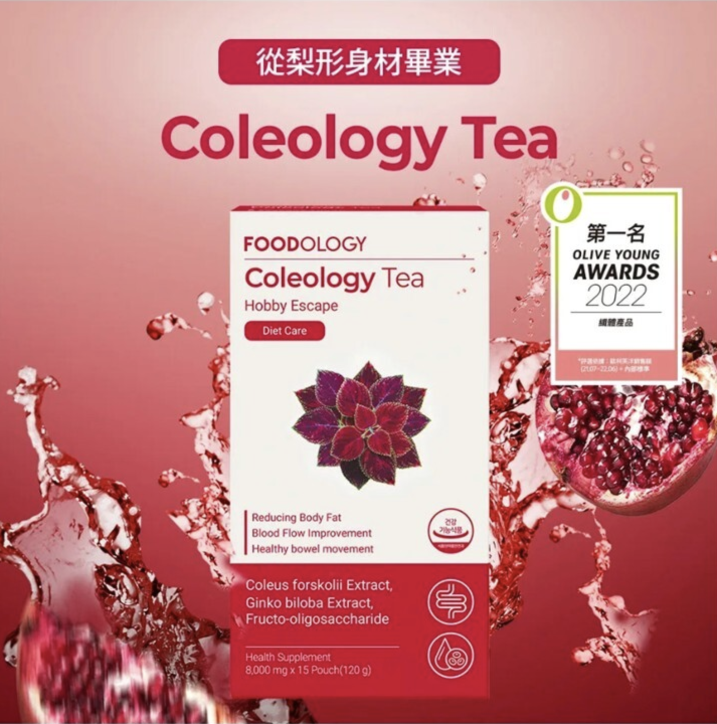 FOODOLOGY - Coleology Tea 五彩蘇植物纖體茶 8g x 15條