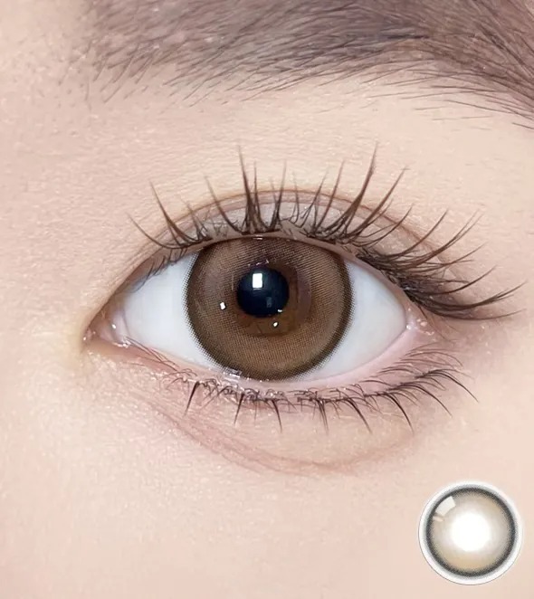 OLOLA Meow 1 Day Coon Brown｜日拋彩妝隱形眼鏡｜每盒10片