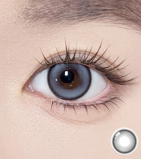 OLOLA Meow 1 Day Coon Gray｜日拋彩妝隱形眼鏡｜每盒10片