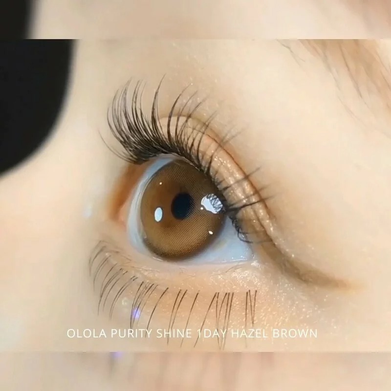 OLOLA Purity Shine 1 Day Hazel Brown 棕色｜日拋彩妝隱形眼鏡｜每盒10片