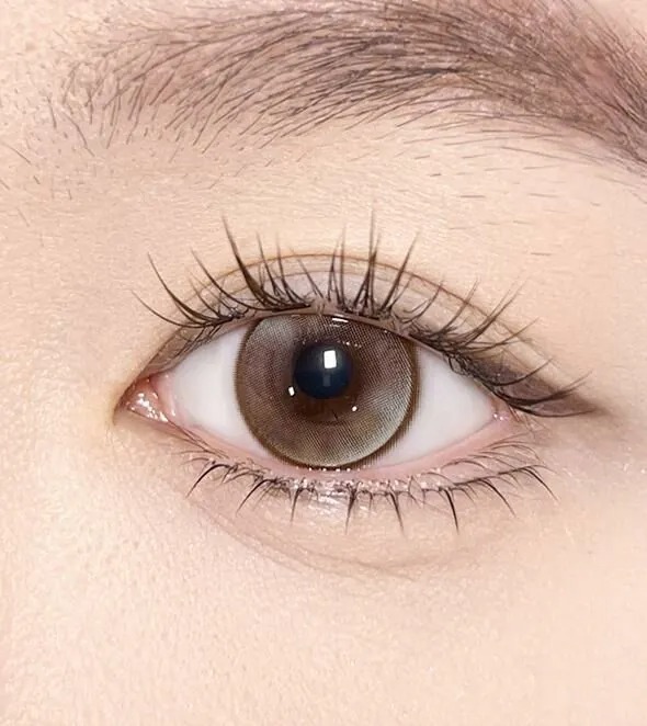 OLOLA MEOW Vivid Edtion 1 Month Savannah Brown｜月拋彩妝隱形眼鏡｜每盒2片