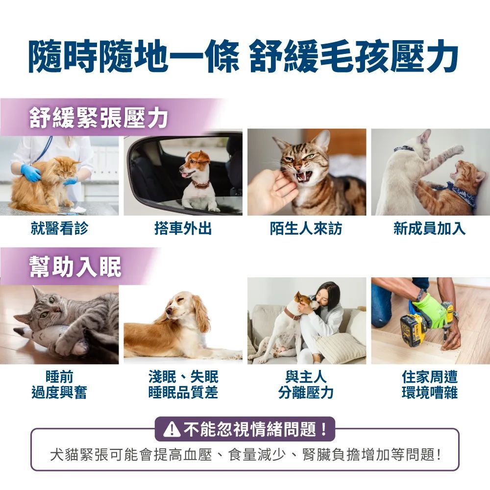 毛掌醫學｜犬貓保健肉泥 單條/盒裝 (純魚油保健肉泥、固免疫、化排毛、固關節、好情緒)