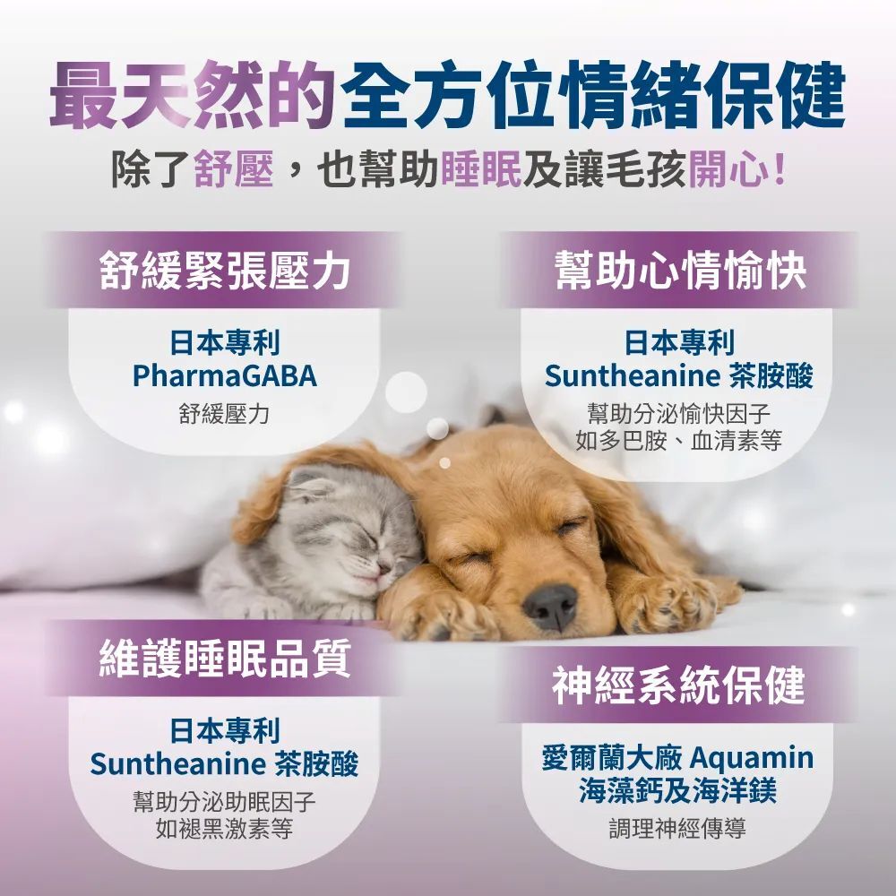 毛掌醫學｜犬貓保健肉泥 單條/盒裝 (純魚油保健肉泥、固免疫、化排毛、固關節、好情緒)