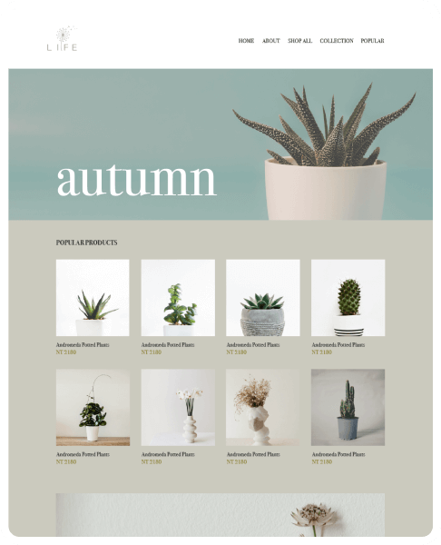 SHOPLINE 商店版型