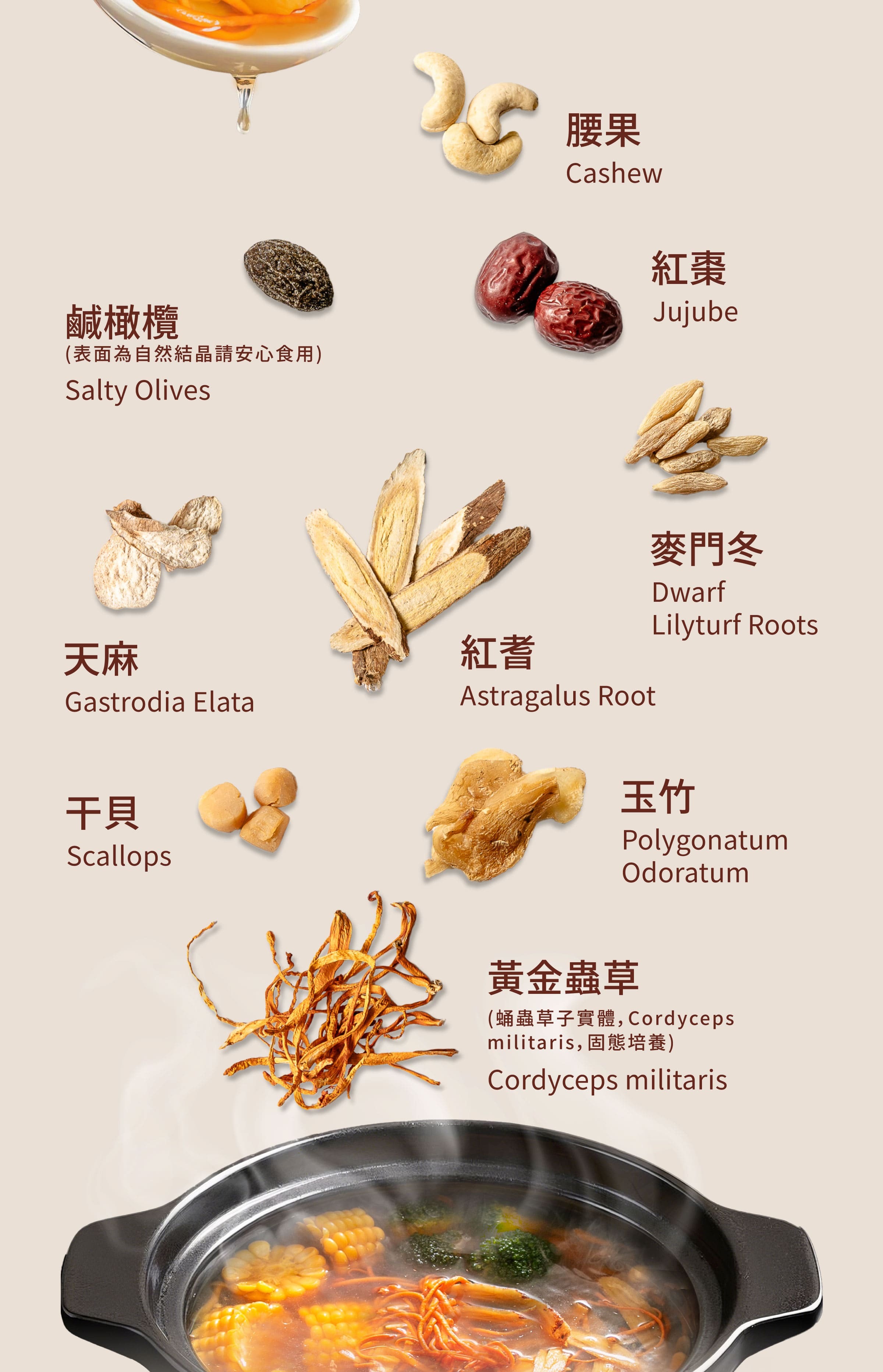 Dengyi 北虫草薬膳スープキット の材料