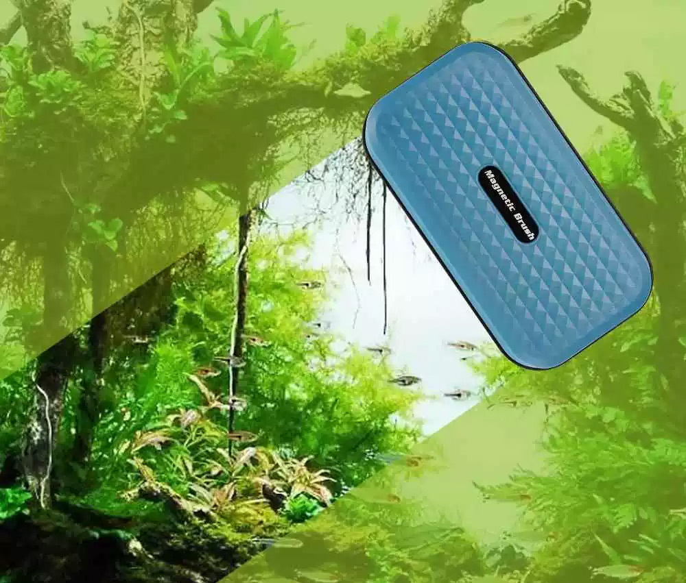 磁力浮力刷採用強力磁鐵設計，深層吸附魚缸內外髒污，輕鬆帶走水垢與藻類