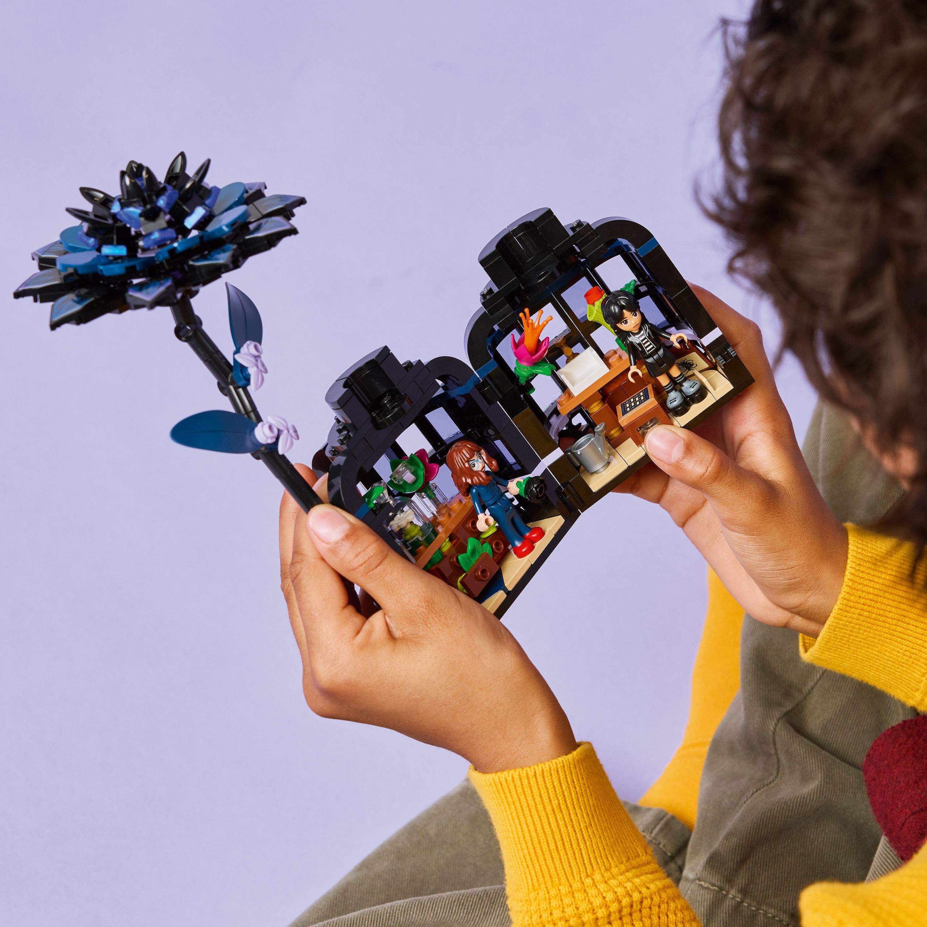 76784 黑色大理花