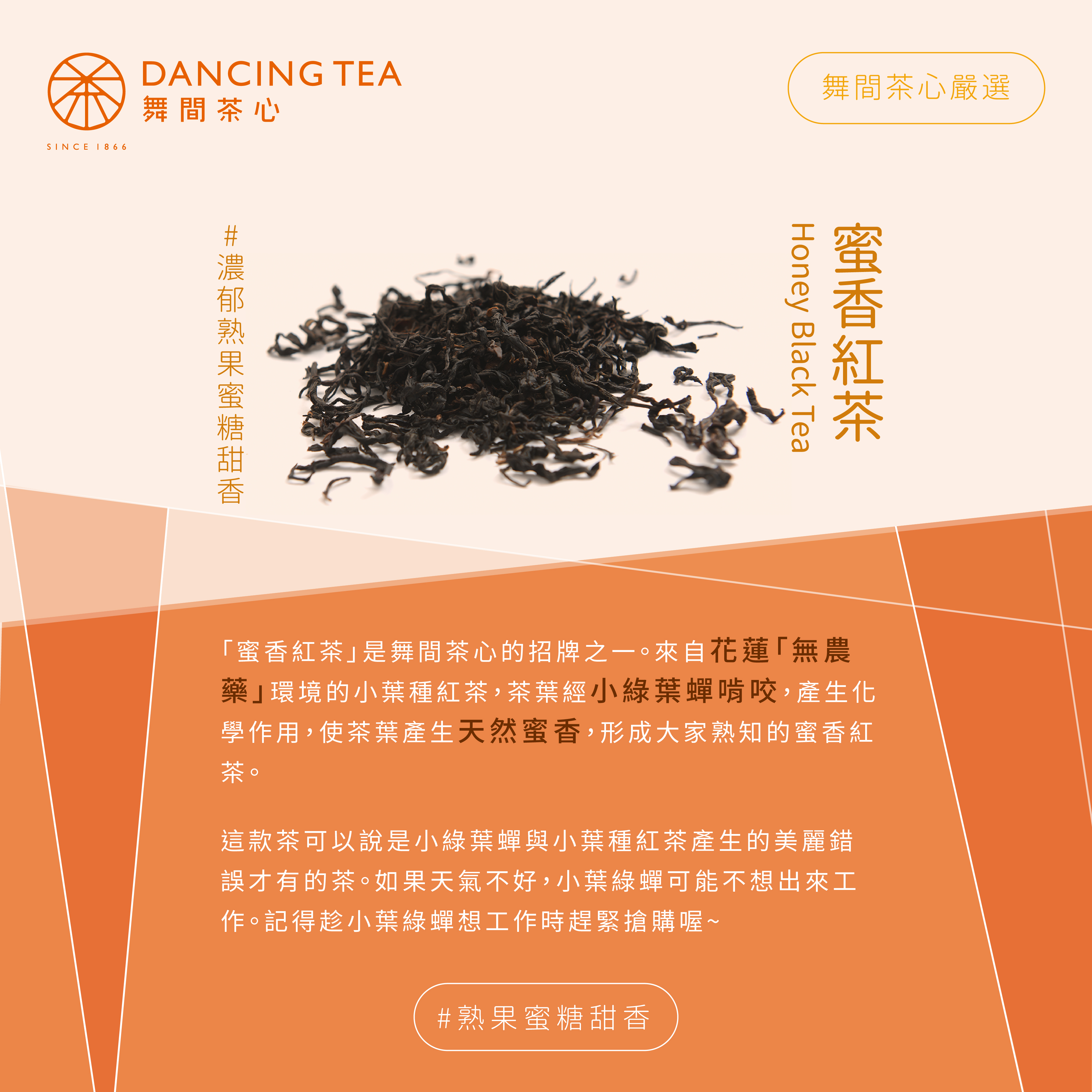 蜜香紅茶-原片立體茶包50入(經濟包)