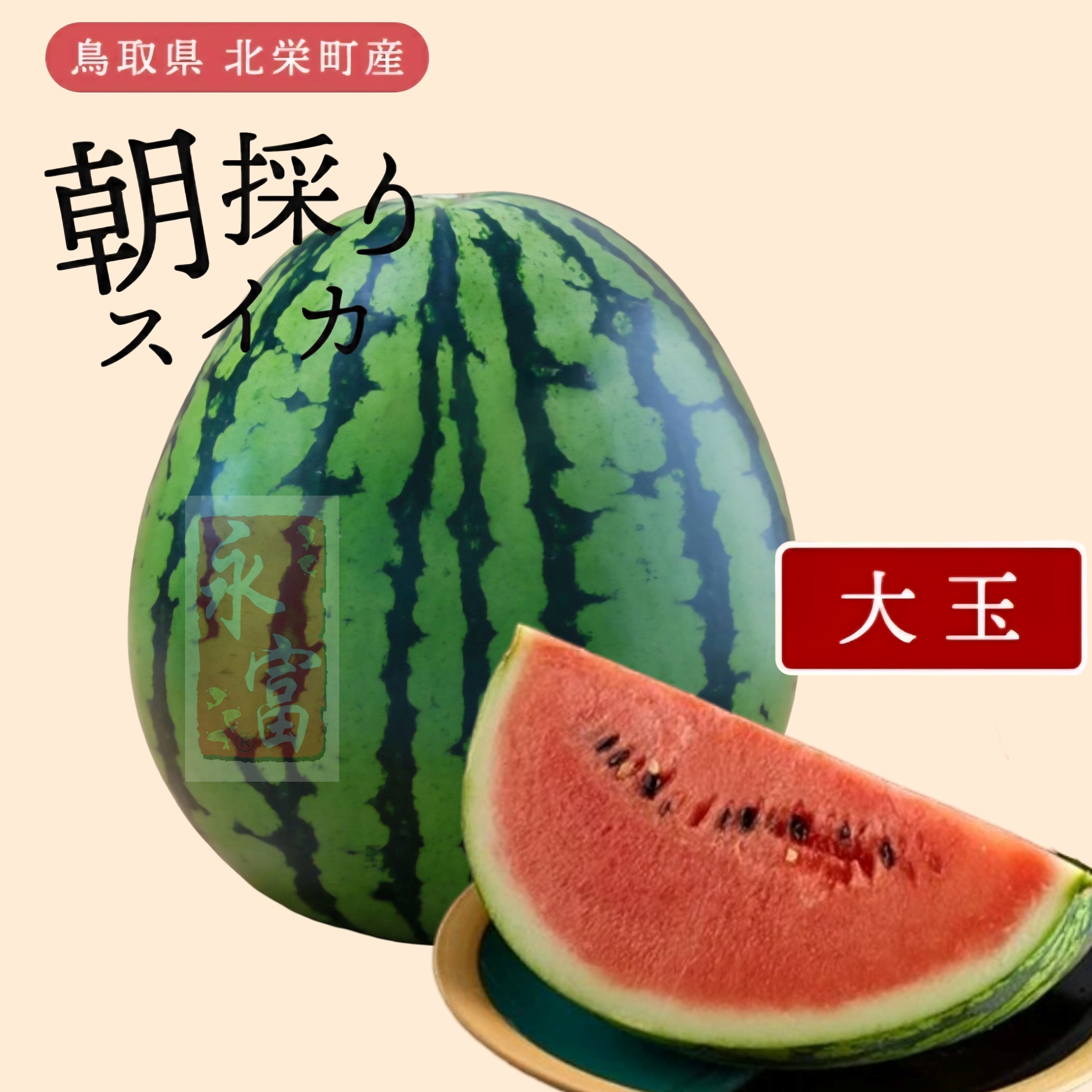 日本鳥取縣西瓜(红肉)