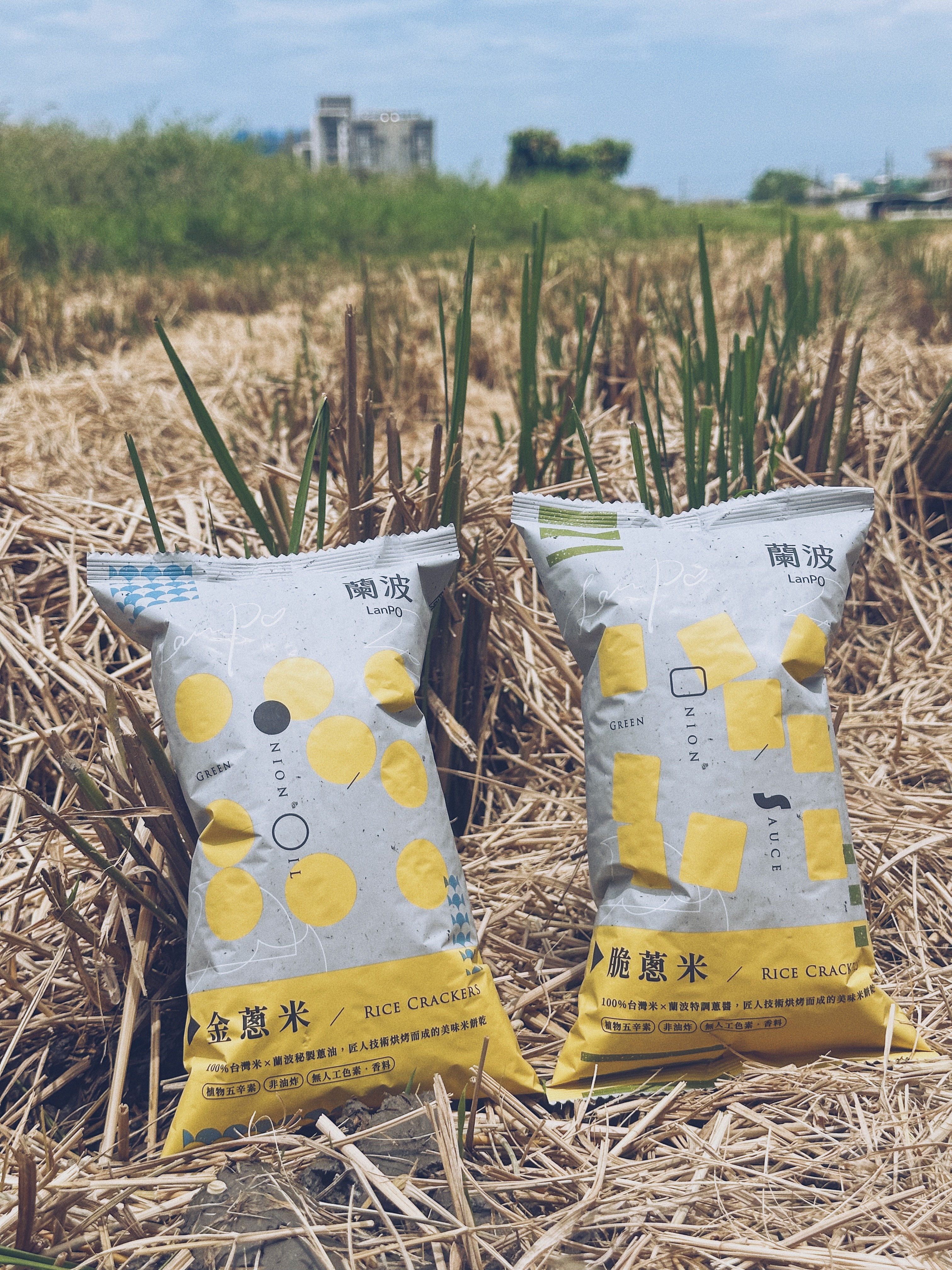 蘭波金脆蔥米餅組合