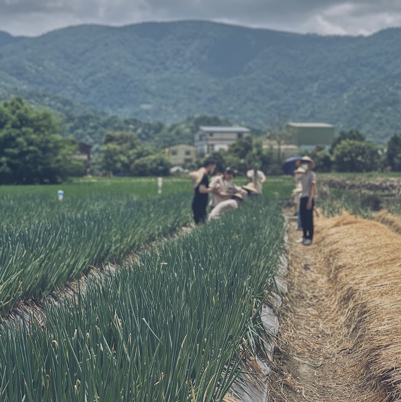 從產地到餐桌：宜蘭飲食文化體驗遊程