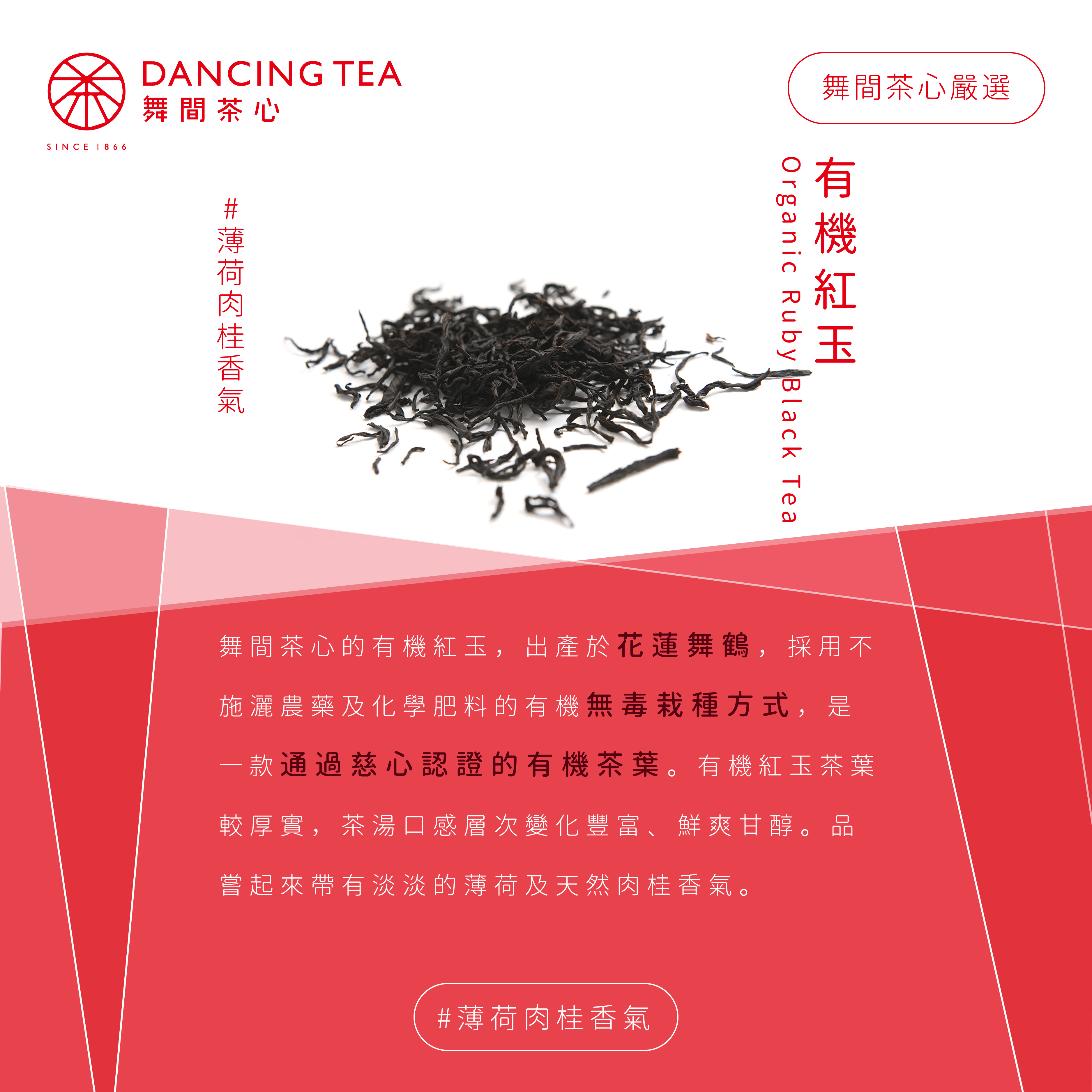 有機紅玉-原片立體茶包50入(經濟包)