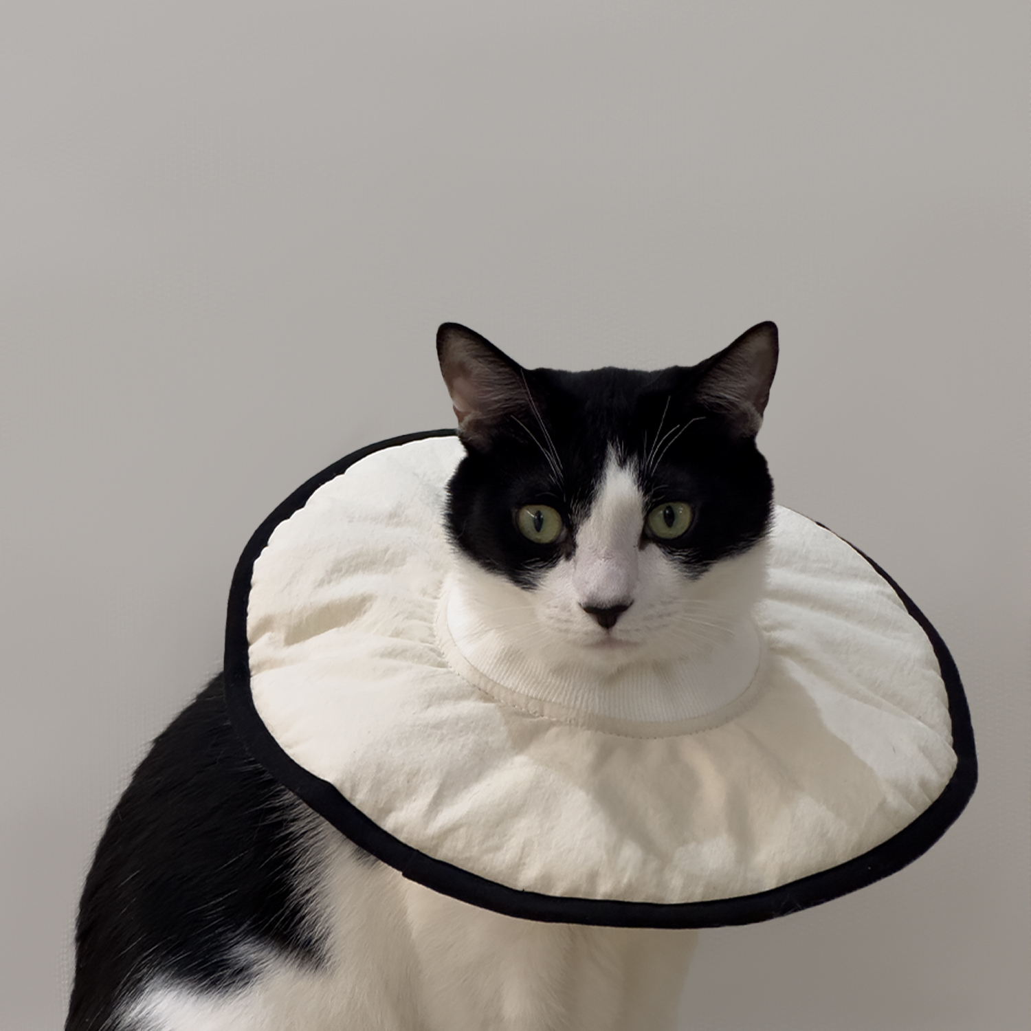 NrH,｜ 雲朵防舔圈