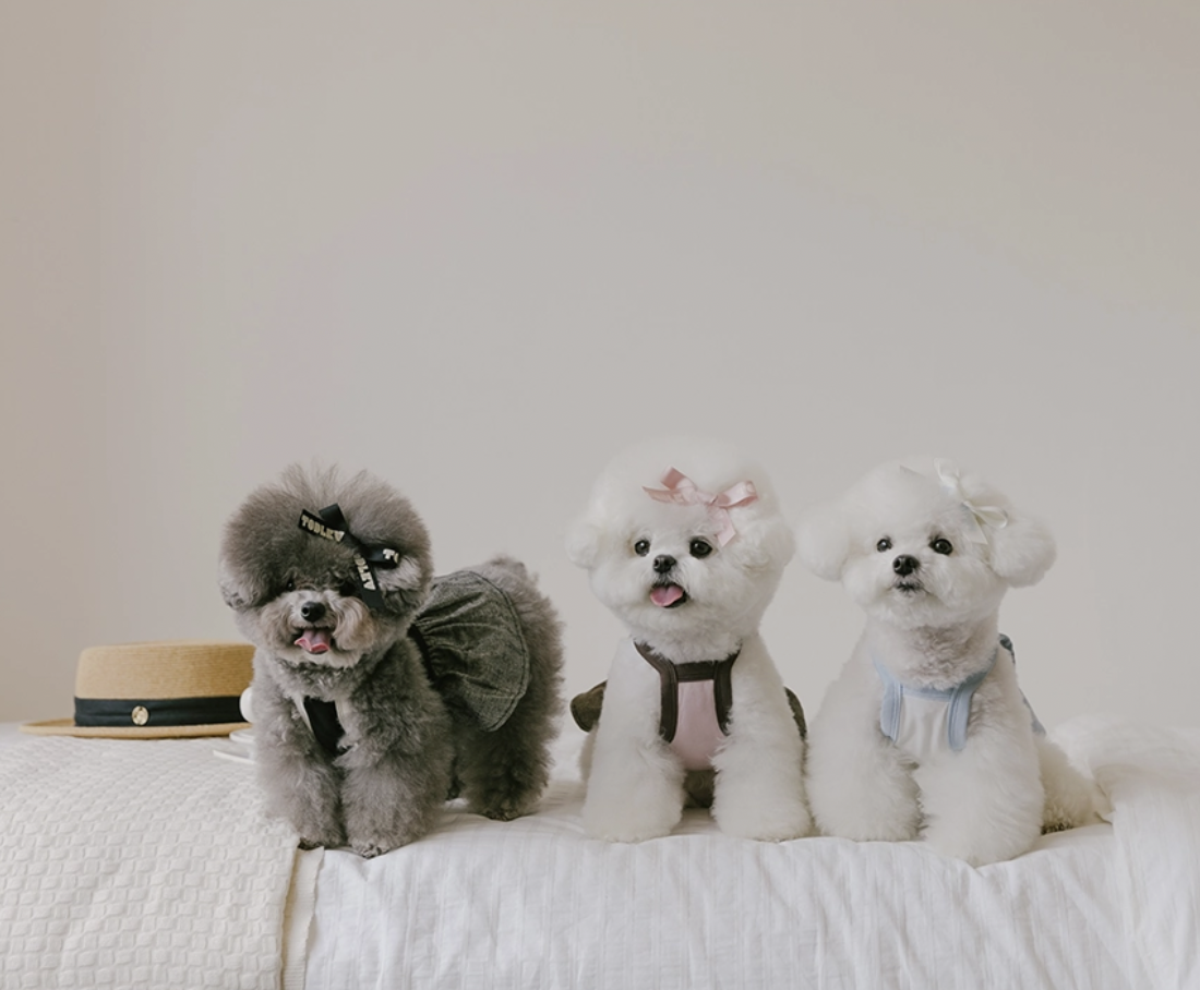 法式涼感連身裙