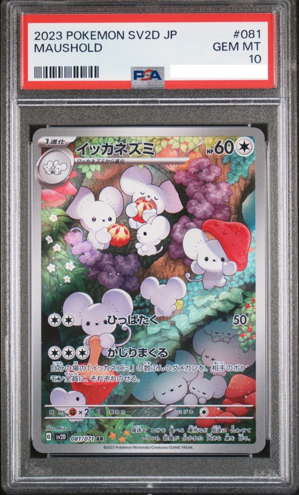 POKEMON JAPANESE SV2D 081/071 AR PSA10