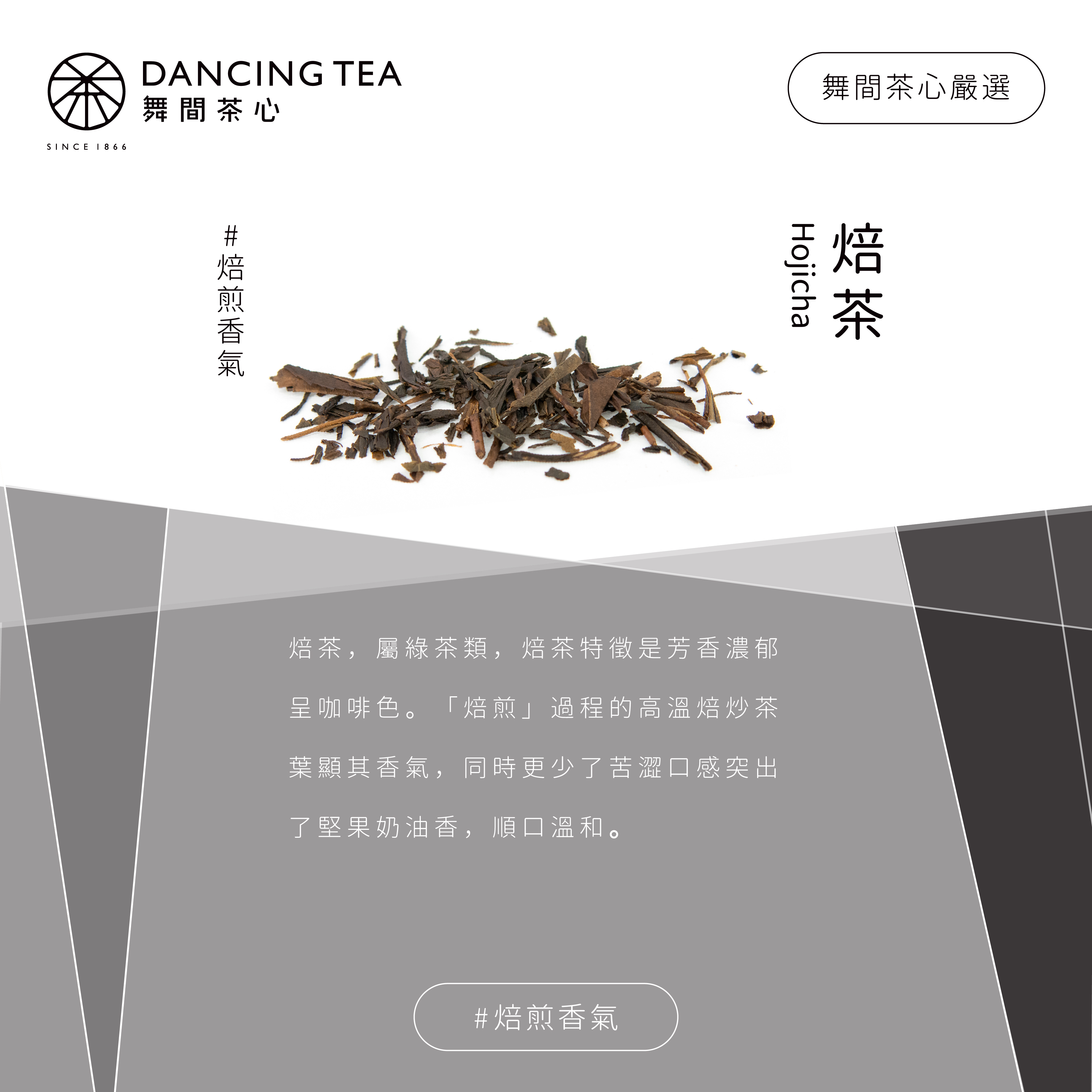 焙茶-原片立體茶包50入(經濟包)