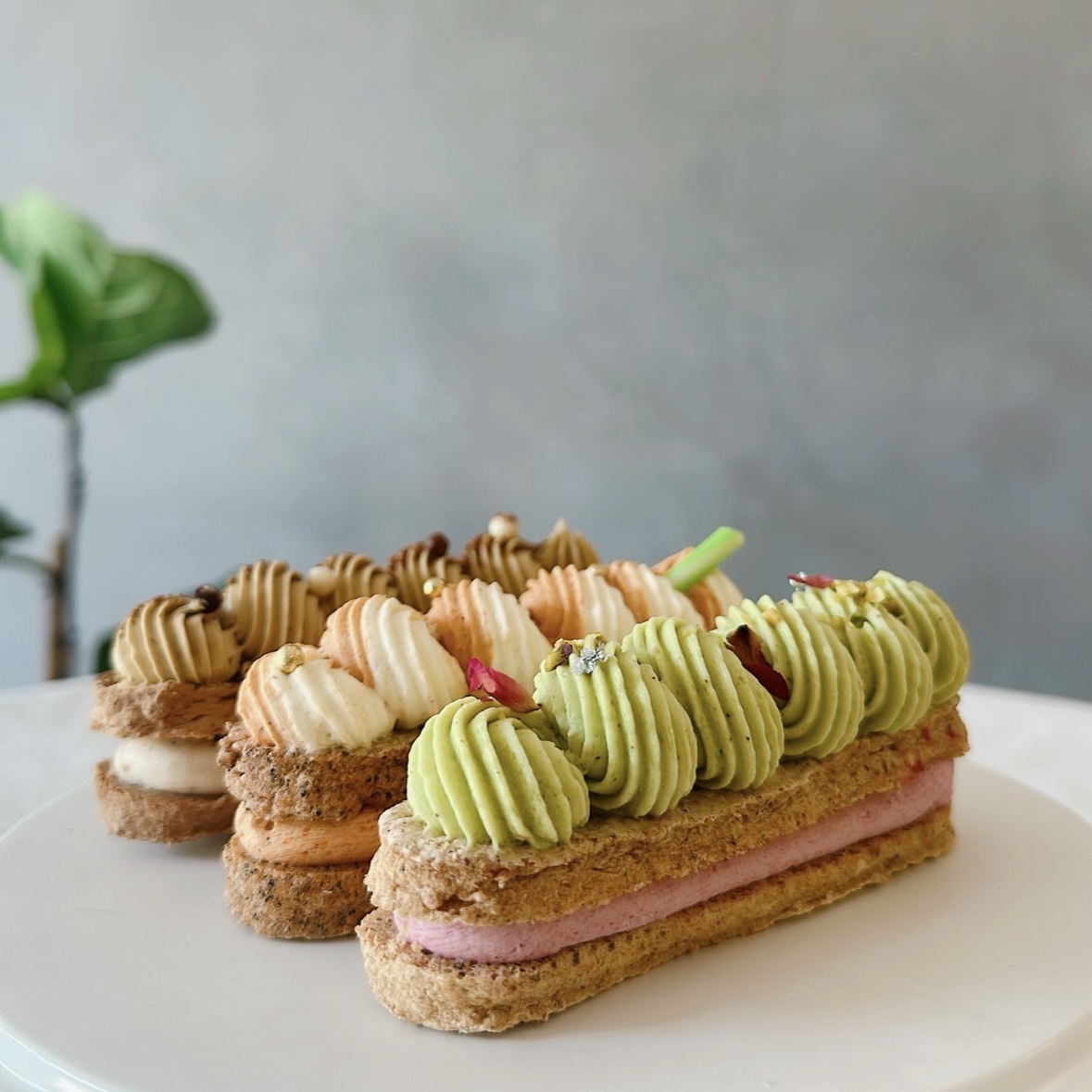 花捲日和 🌸 達達禮盒