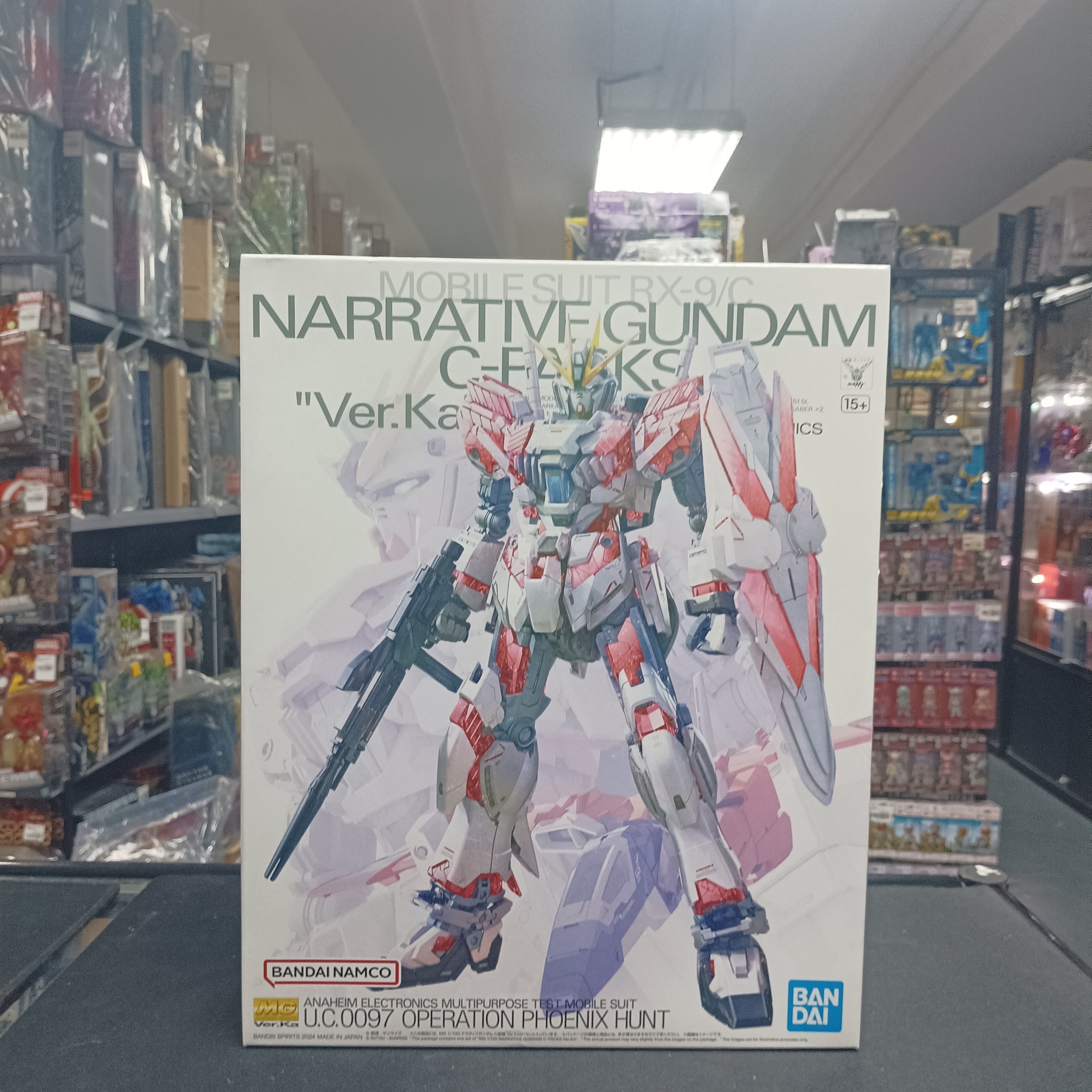 寄賣-MG 1/100 敘述高達 C裝備 Ver.Ka