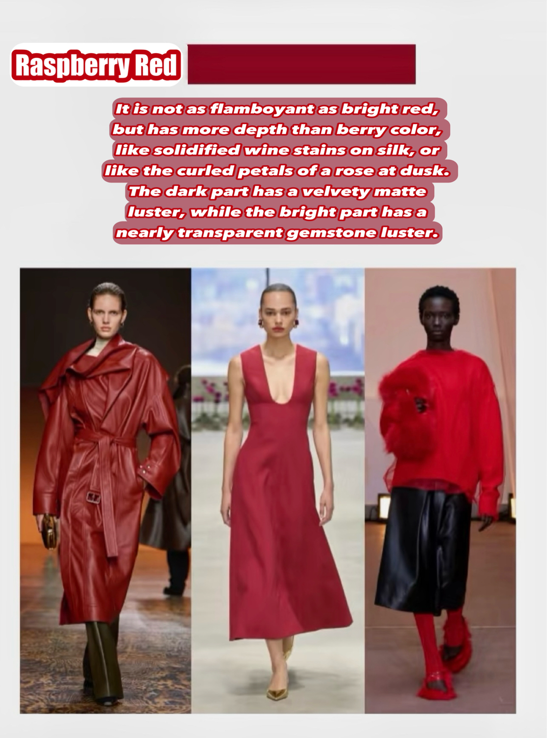 Winniemodoreviews,Winniemodocustomerreviews,Winniemodoclientfeedback,Winniemodo,Winniemodony,2025Fashion,AutumnWinterTrends,FashionColors,FallFashion,WinterStyle,ChicAndTrendy,FashionInspiration,StyleGuide,ColorPalette,ChocolateBrown,RaspberryRed,ToffeeBrown,IceWaterBlue,DeepCharcoalGrey,IcelandicGrey