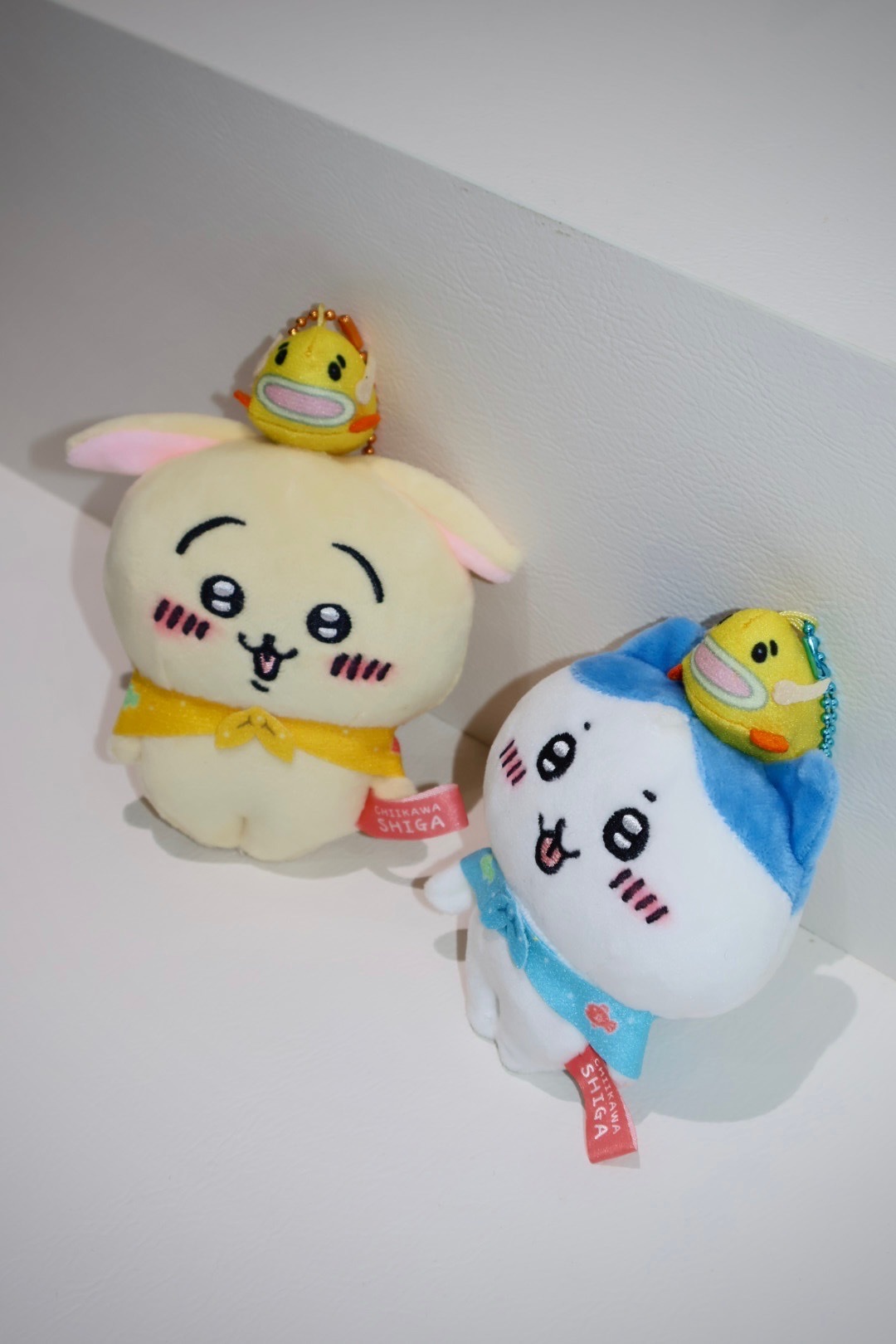 日本代購 吉伊卡哇 滋賀限定款 琵琶湖