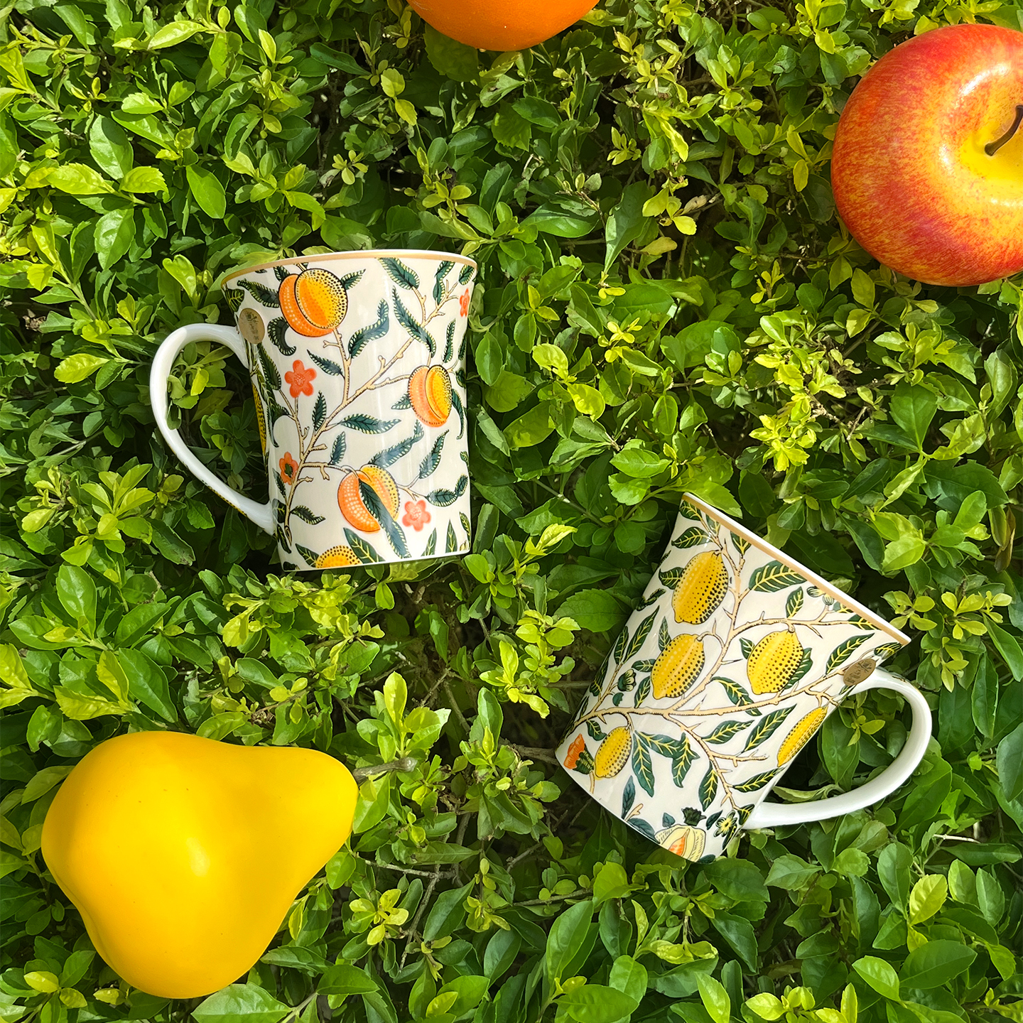 【LESSER & PAVEY】Wm.Morris Fruits 馬克杯2入禮盒