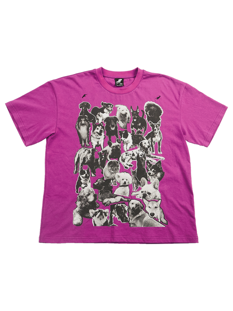 Enclave CROP-FIT SHORT-SLEEVES “PAL” TEE