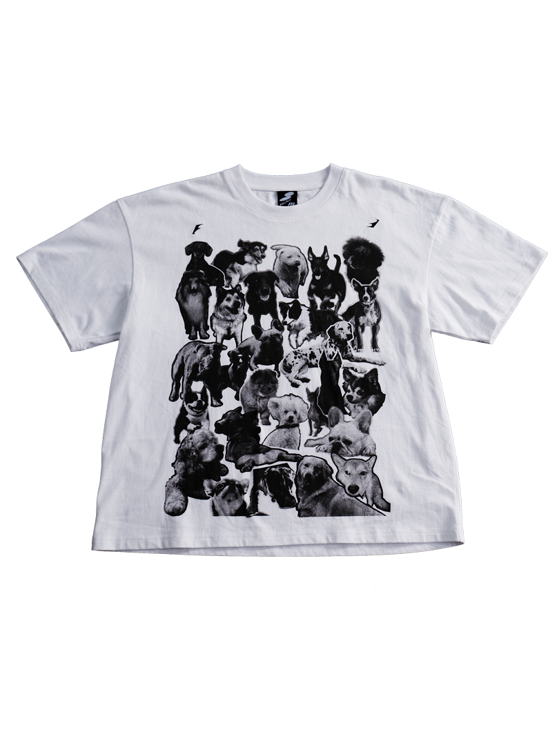 Enclave -FIT SHORT-SLEEVES “PAL” TEE-WH