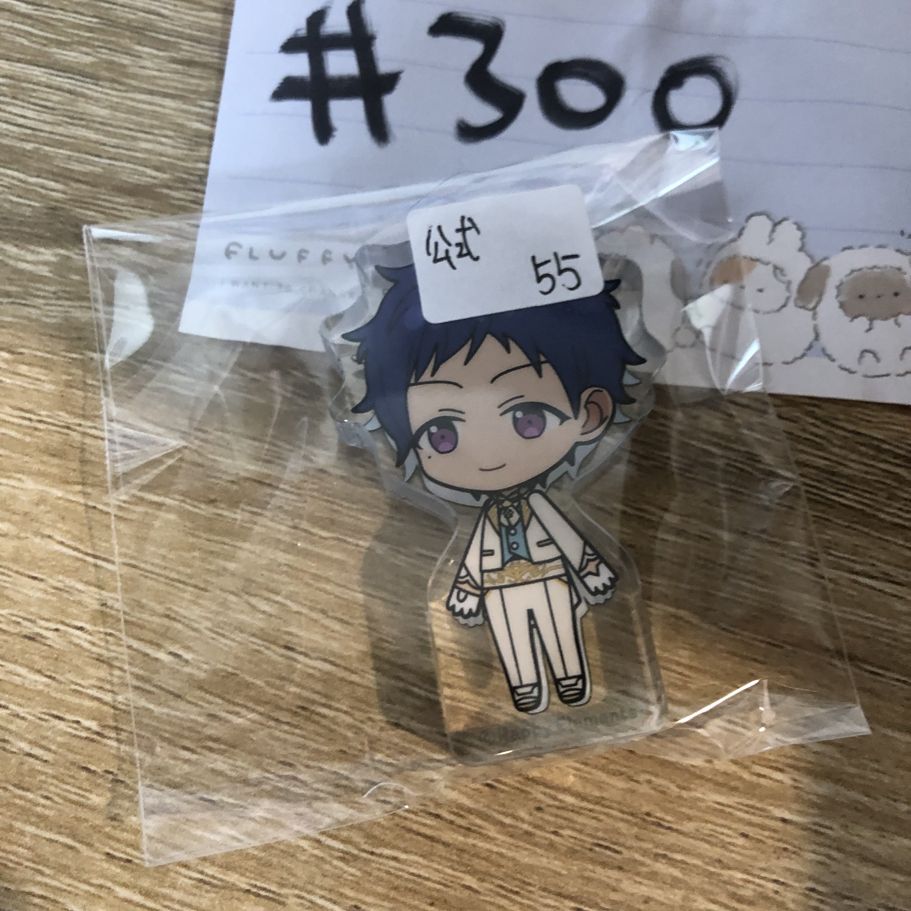 ES 弓弦 膠牌 公式#300