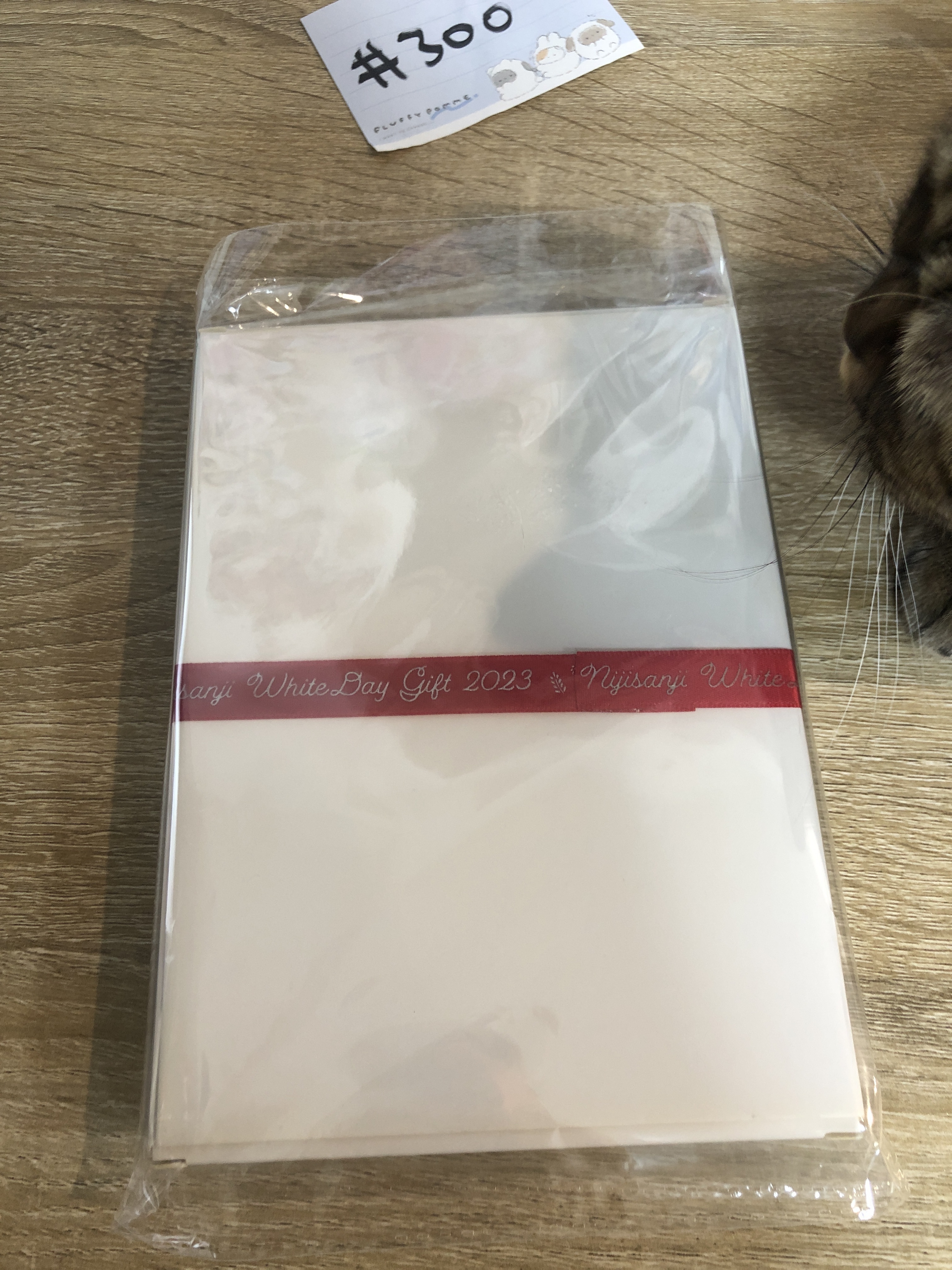 彩虹社 VOX SET#300