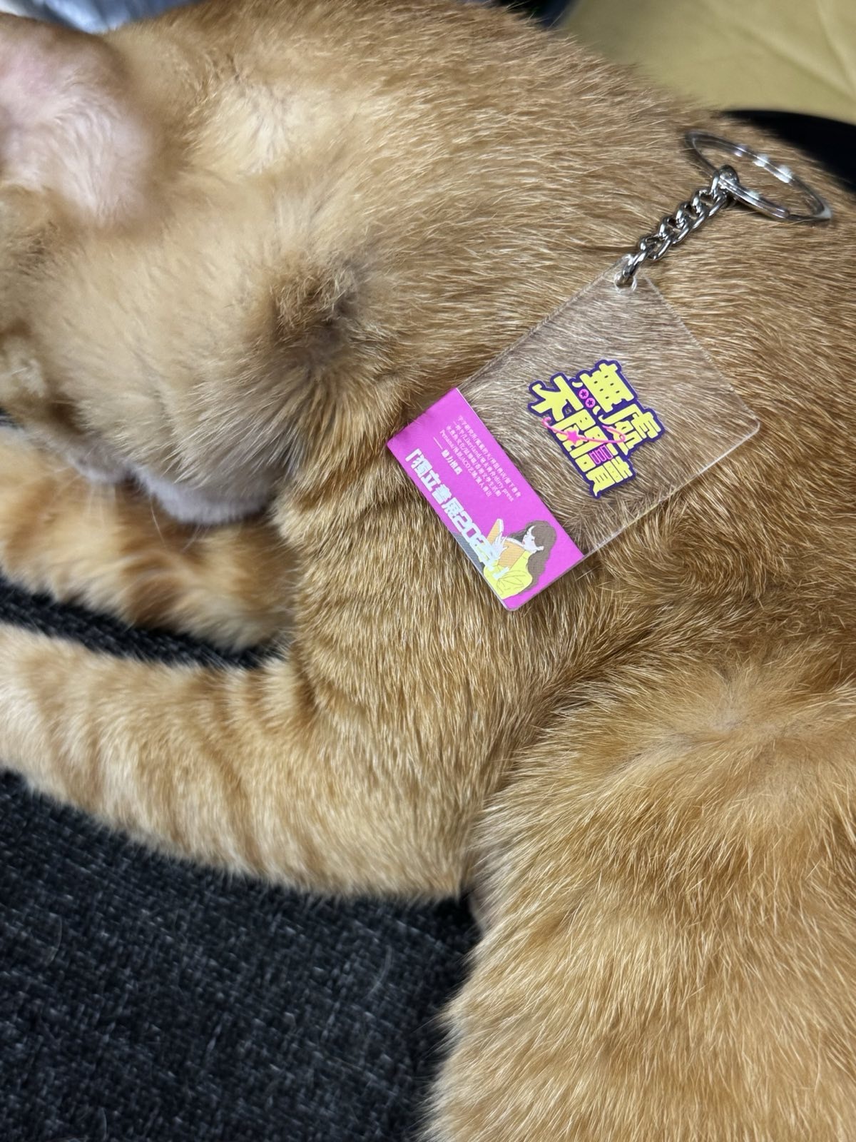 獵人書店｜「無處不閱讀」官方周邊！亞加力 NFC 鎖匙扣