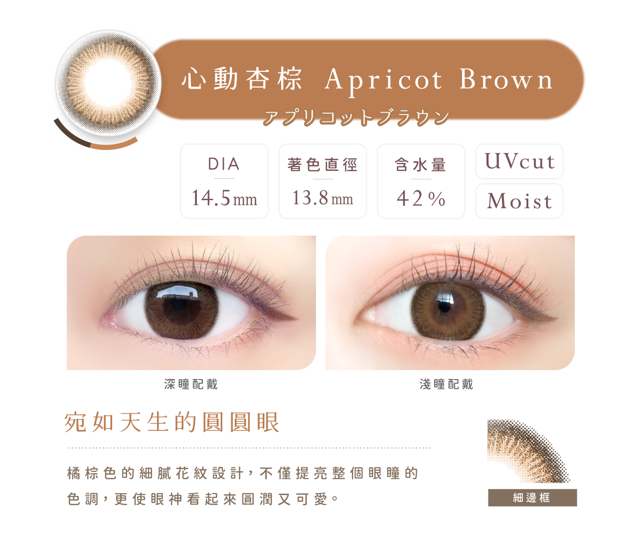 【EverColor】心動杏棕Apricot Brown - 彩色日拋 10片裝