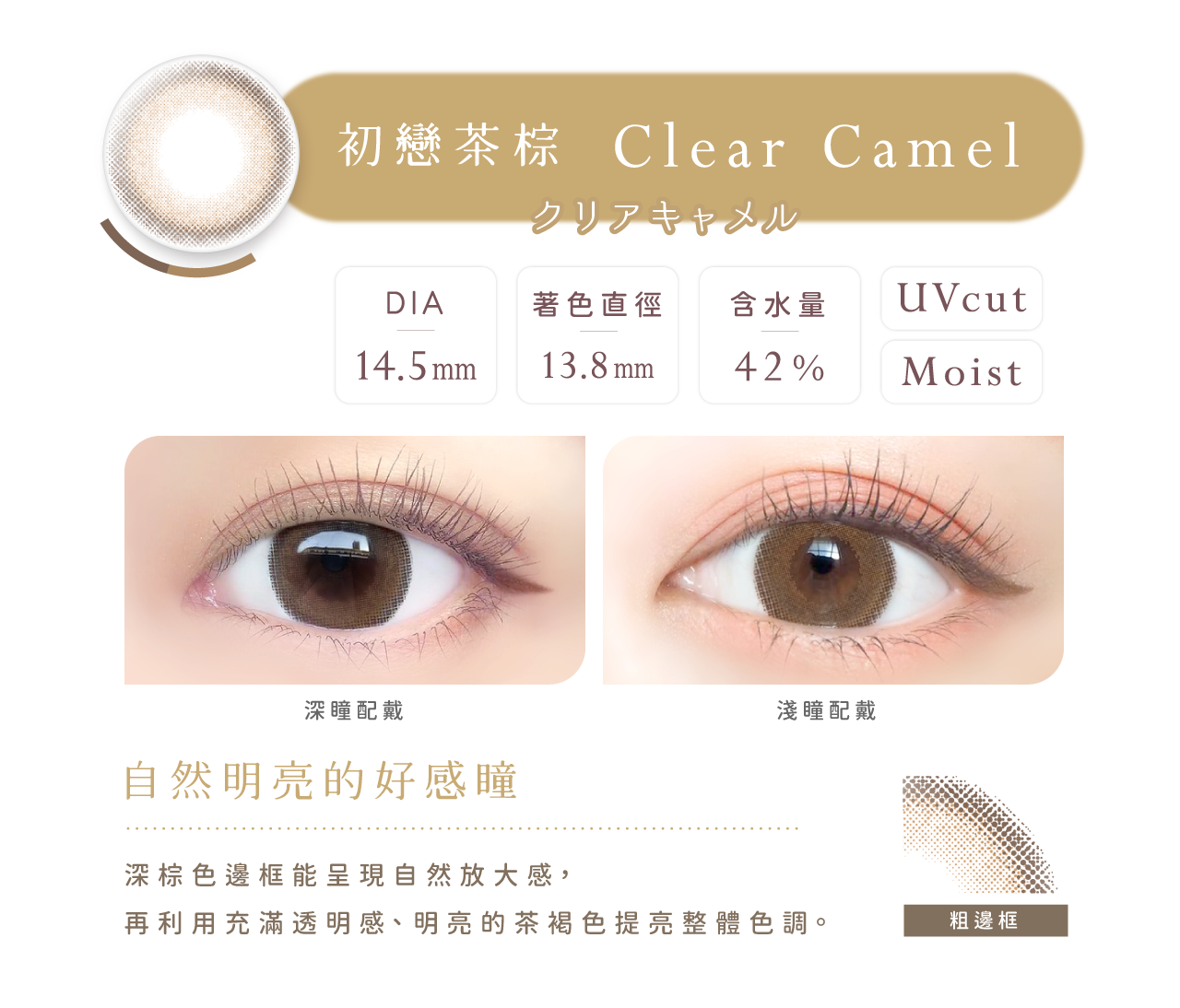 【EverColor】初戀茶棕Clear Camel - 彩色日拋 10片裝