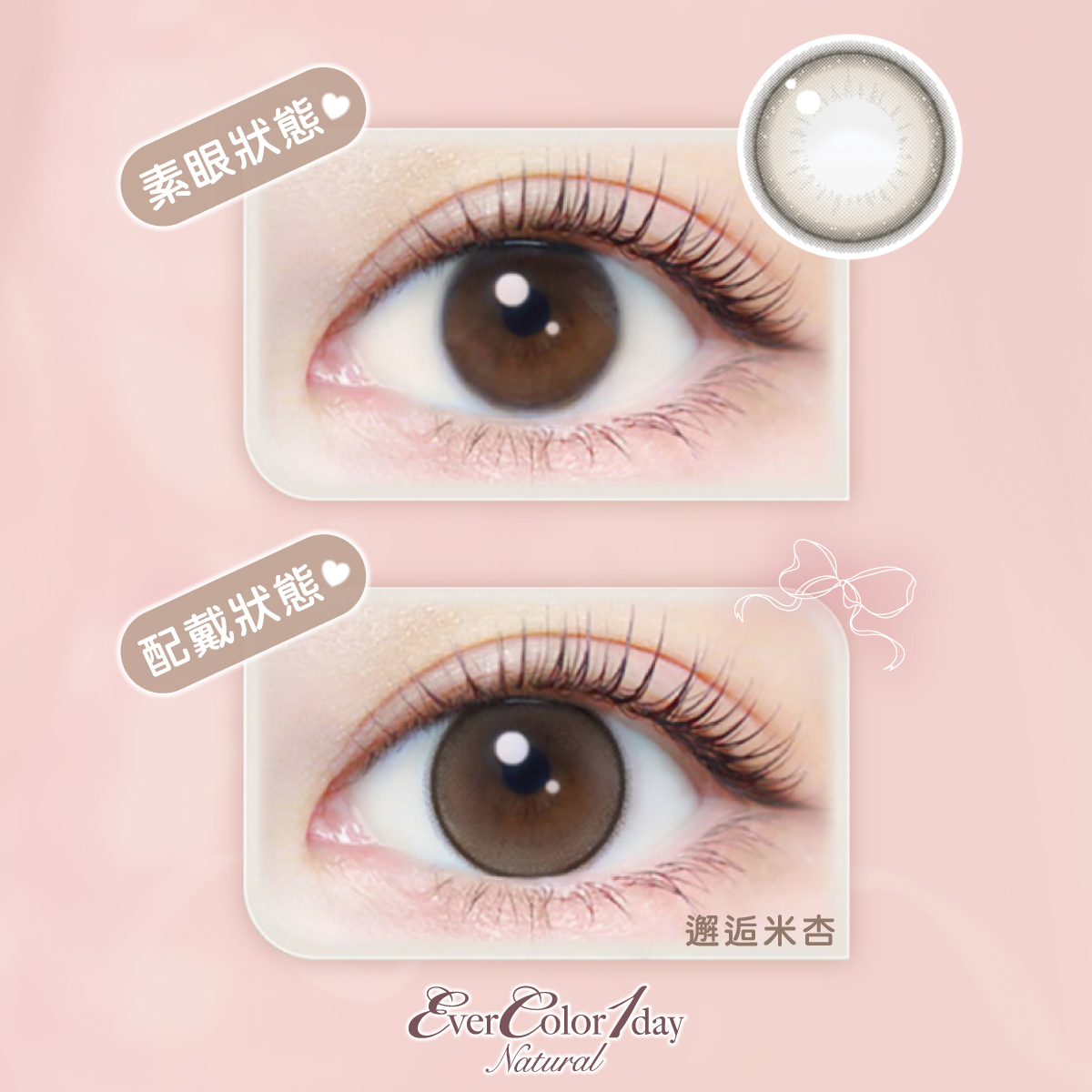 【EverColor】邂逅米杏Pearl Beige - 彩色日拋 10片裝