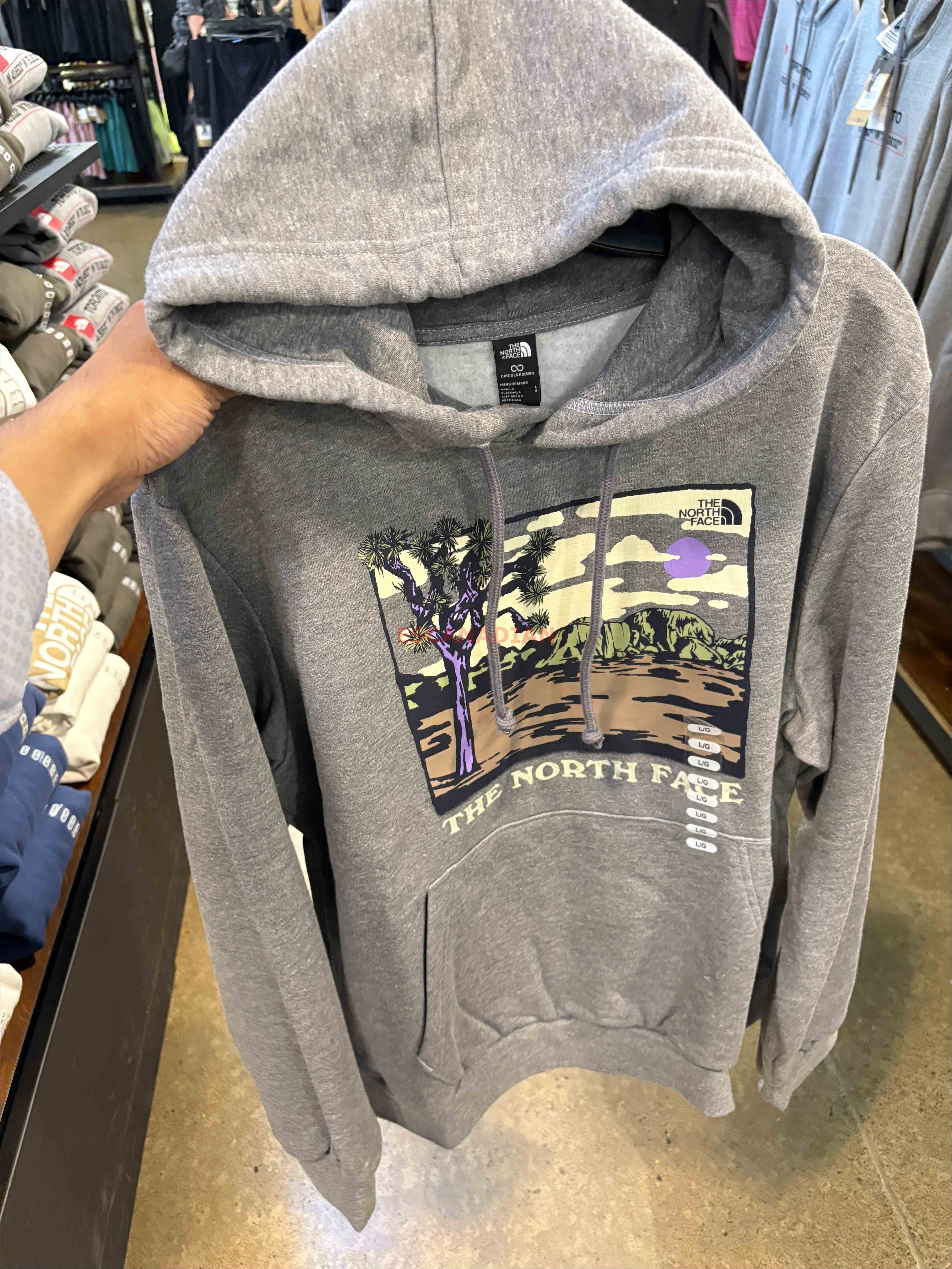 THE NORTH FACE 男大人 沙漠圖案 刷毛 帽TEE
