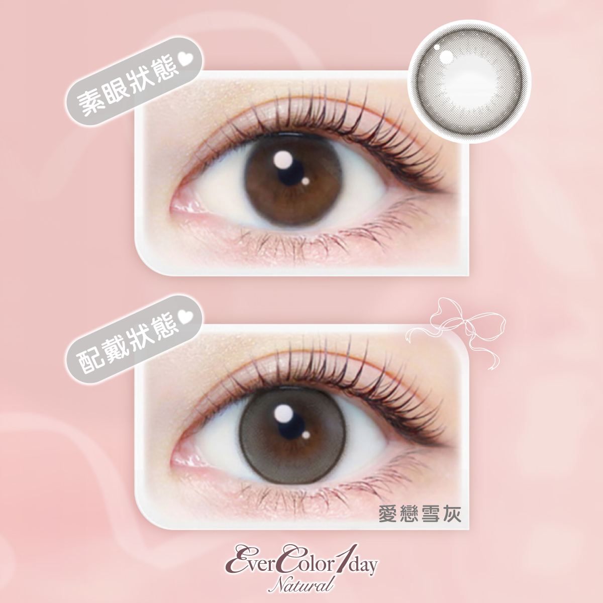 【EverColor】愛戀雪灰Pearl Snow Gray - 彩色日拋 10片裝