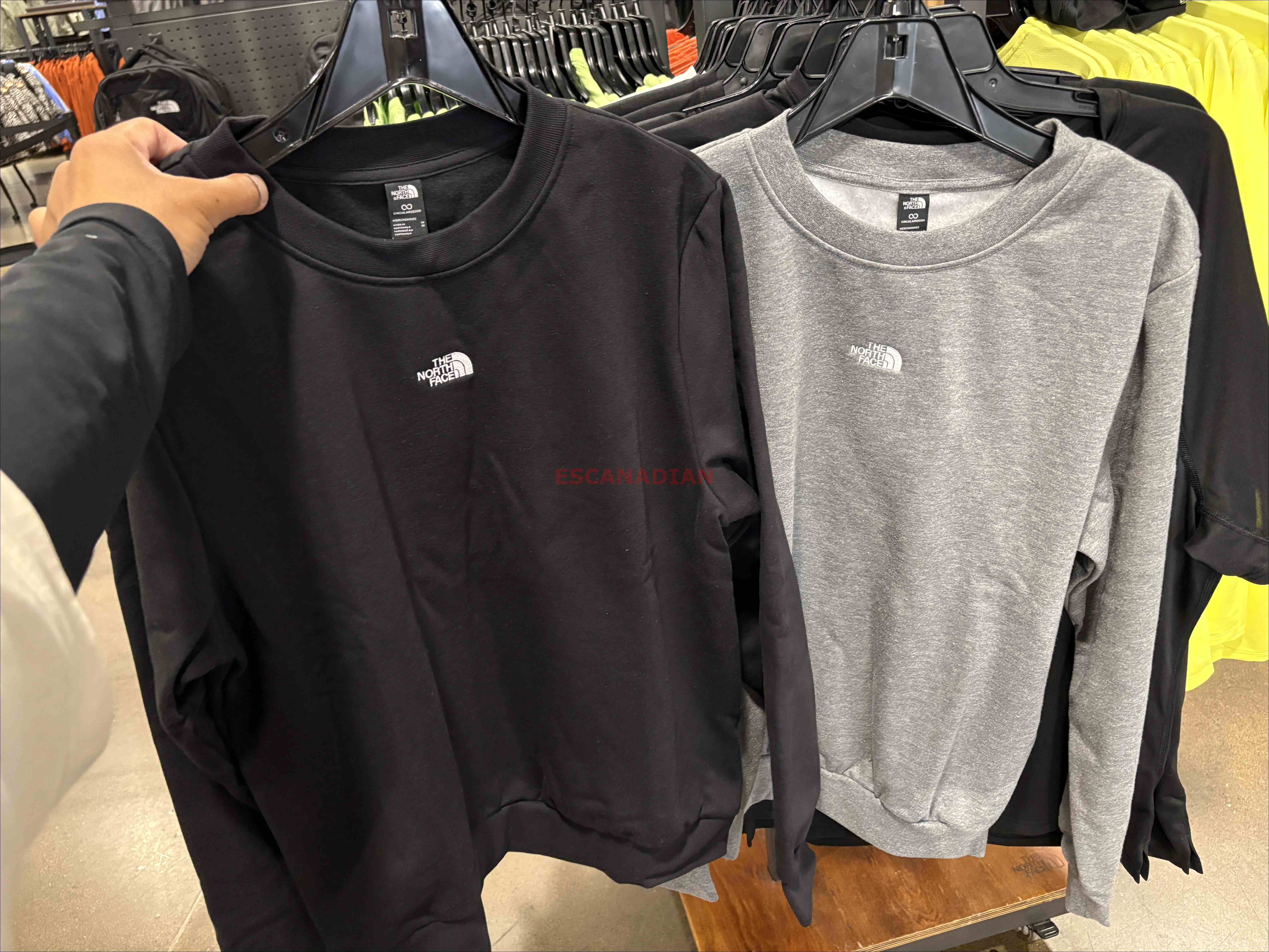 THE NORTH FACE 男大人 刺繡標 小厚磅刷毛 大學TEE (2色)