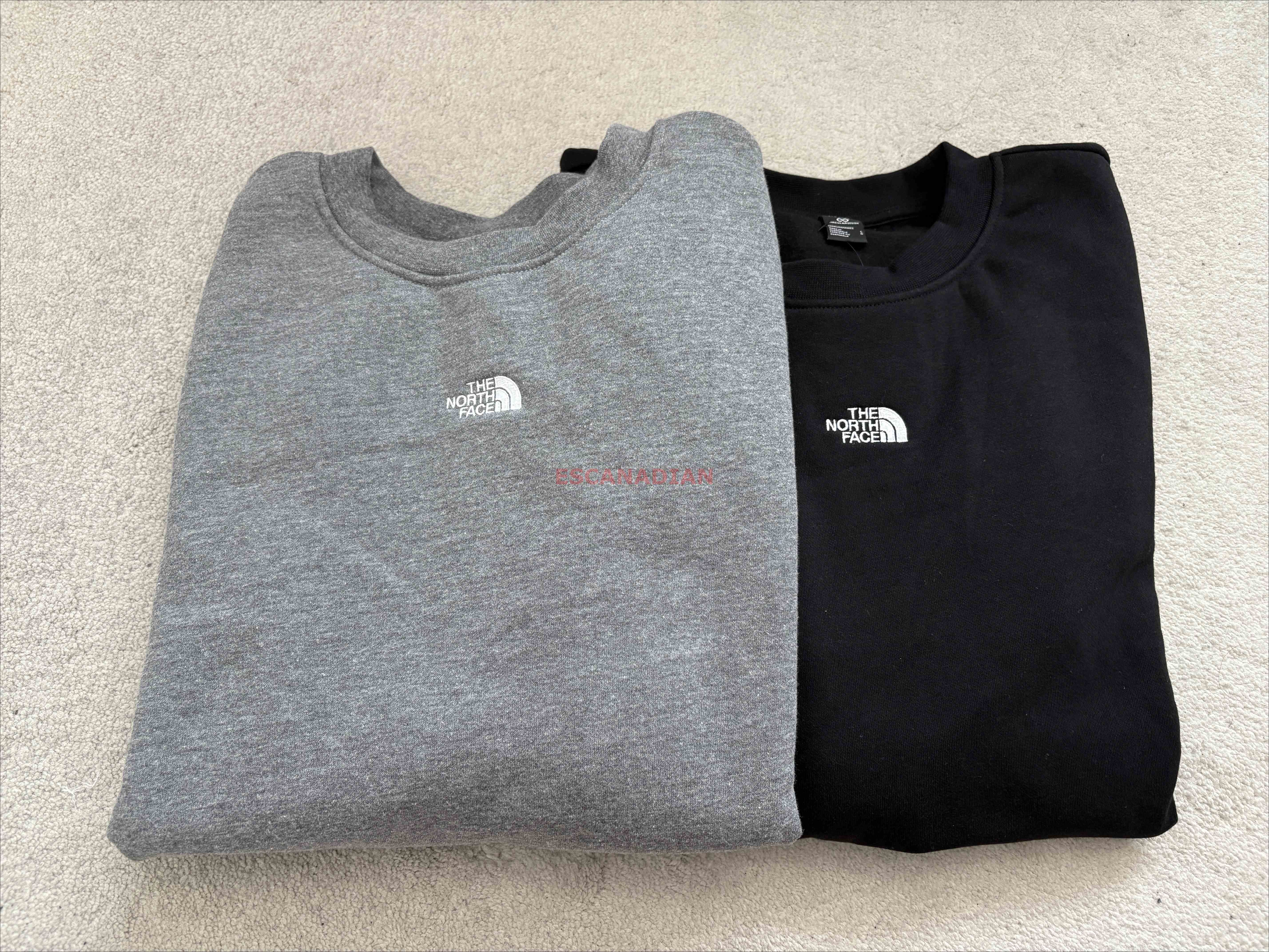 THE NORTH FACE 男大人 刺繡標 小厚磅刷毛 大學TEE (2色)