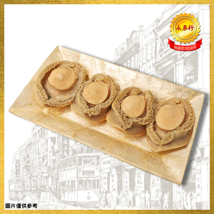 【4頭】南非藍寶石牌清湯鮑魚