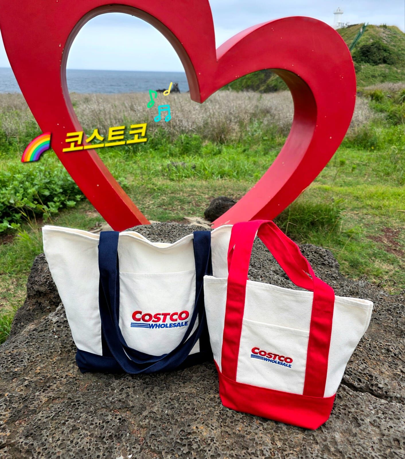 【直播】LL071703 COSTCO 環保袋套裝 (1藍1紅)
